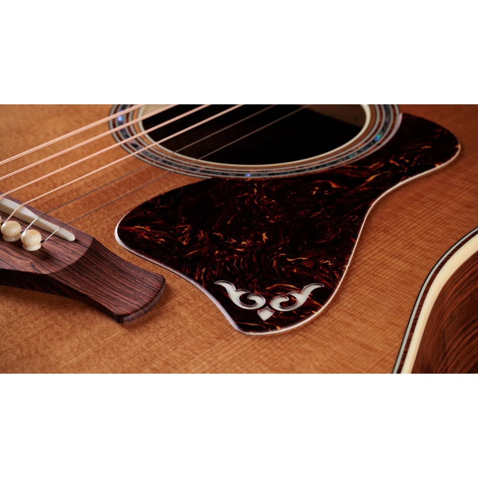 Đàn Guitar Acoustic Taylor Gold Label 810e - Natural-Mai Nguyên Music