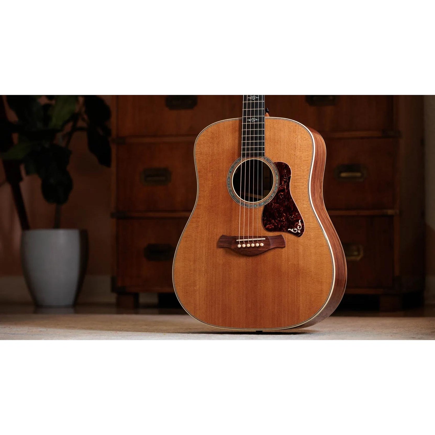 Đàn Guitar Acoustic Taylor Gold Label 810e - Natural-Mai Nguyên Music