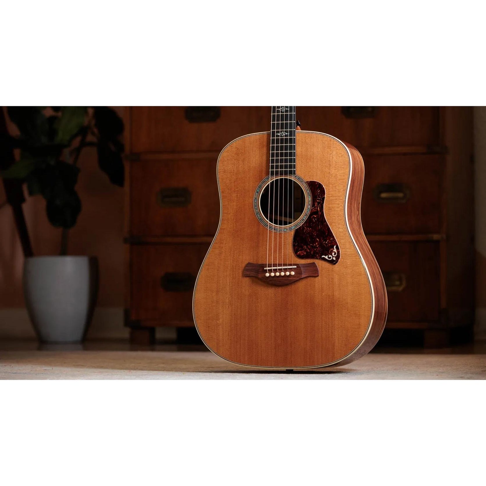 Đàn Guitar Acoustic Taylor Gold Label 810e - Natural-Mai Nguyên Music