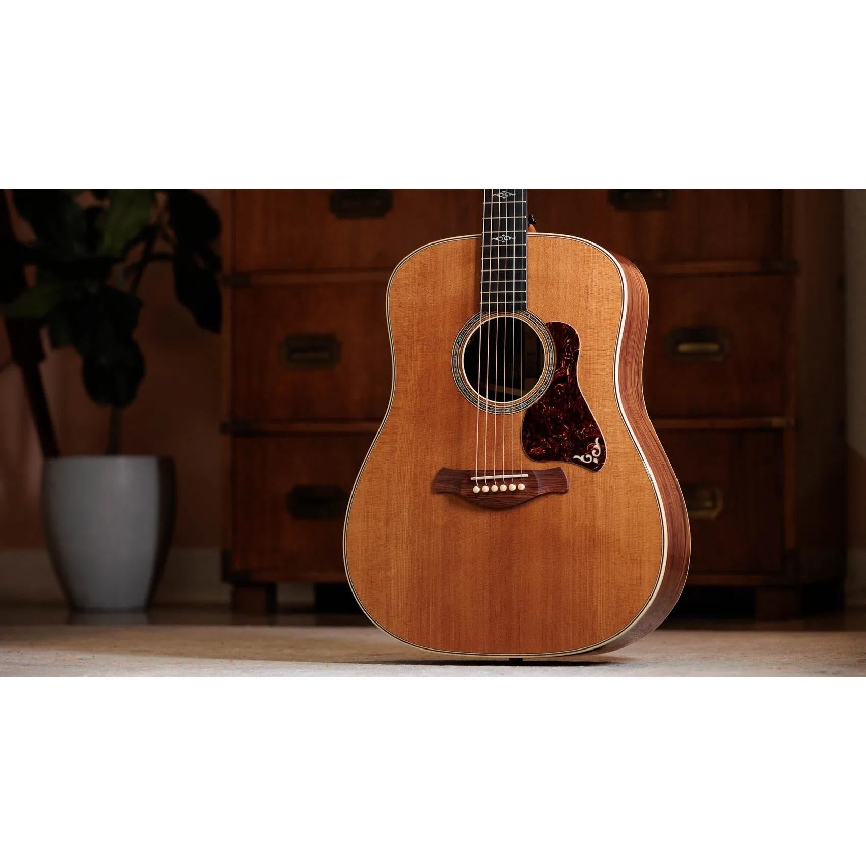 Đàn Guitar Acoustic Taylor Gold Label 810e - Natural-Mai Nguyên Music