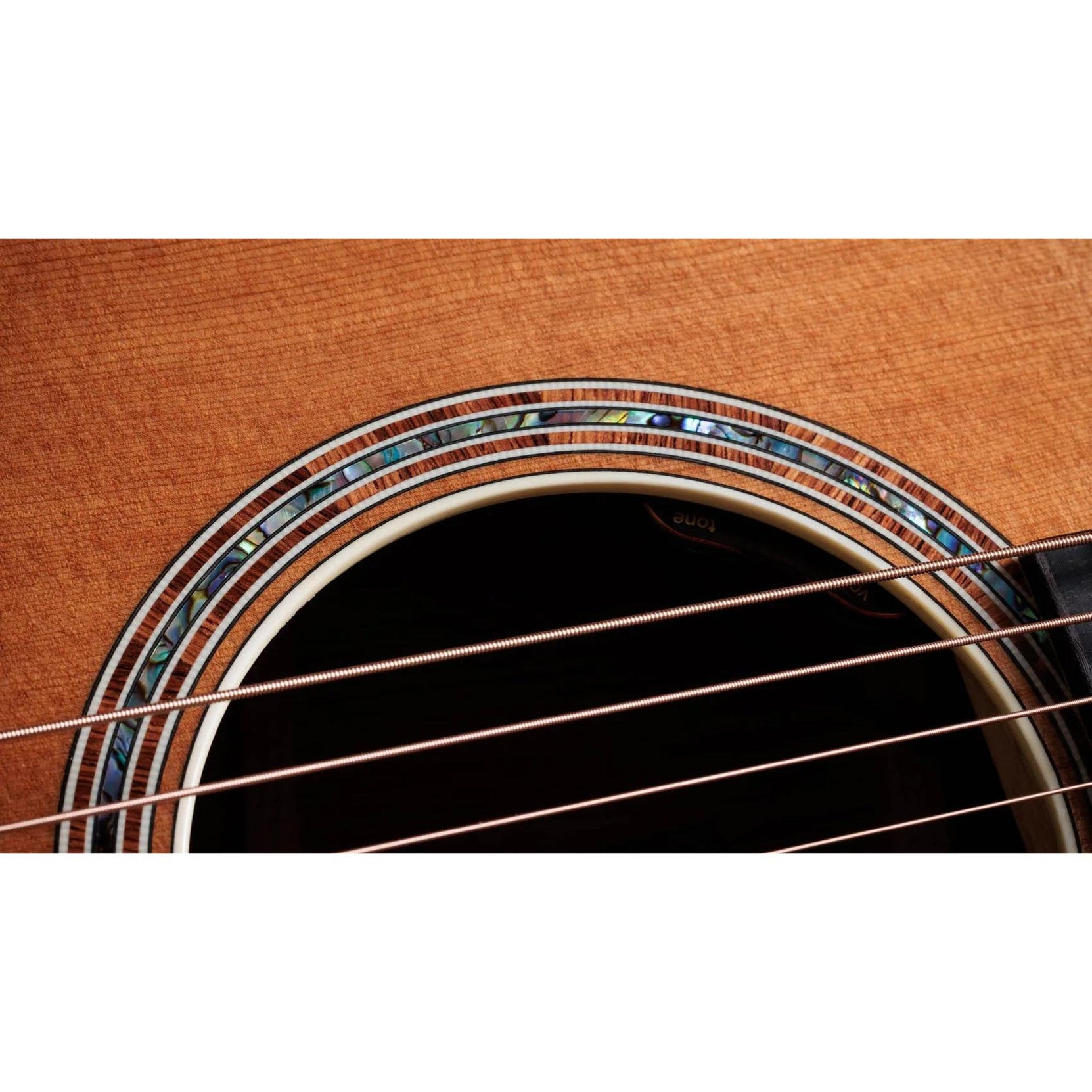 Đàn Guitar Acoustic Taylor Gold Label 810e - Natural-Mai Nguyên Music