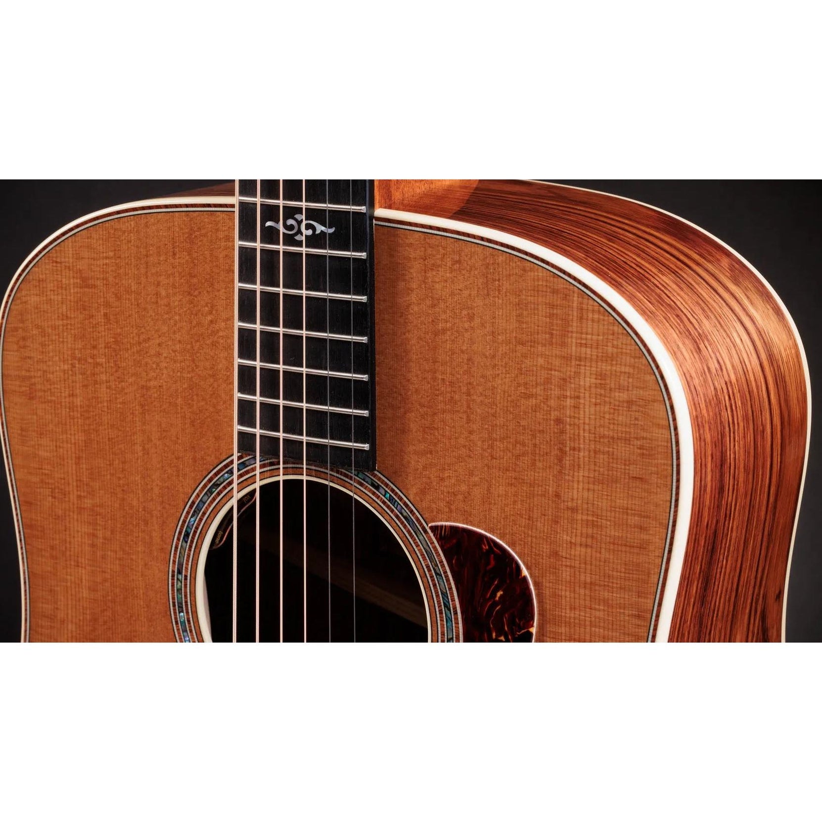 Đàn Guitar Acoustic Taylor Gold Label 810e - Natural-Mai Nguyên Music