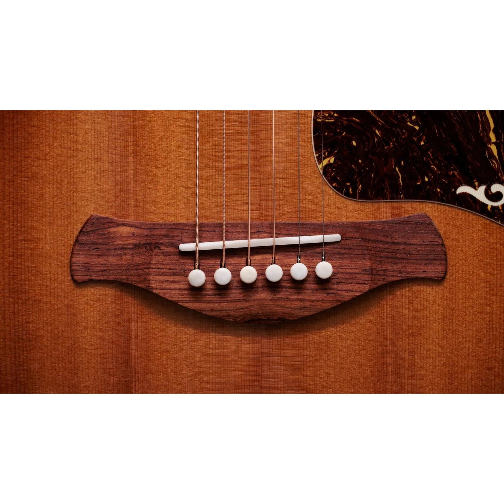 Đàn Guitar Acoustic Taylor Gold Label 814e-Mai Nguyên Music