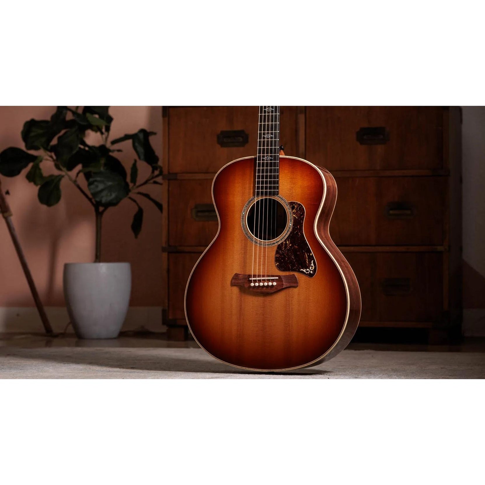 Đàn Guitar Acoustic Taylor Gold Label 814e-Mai Nguyên Music