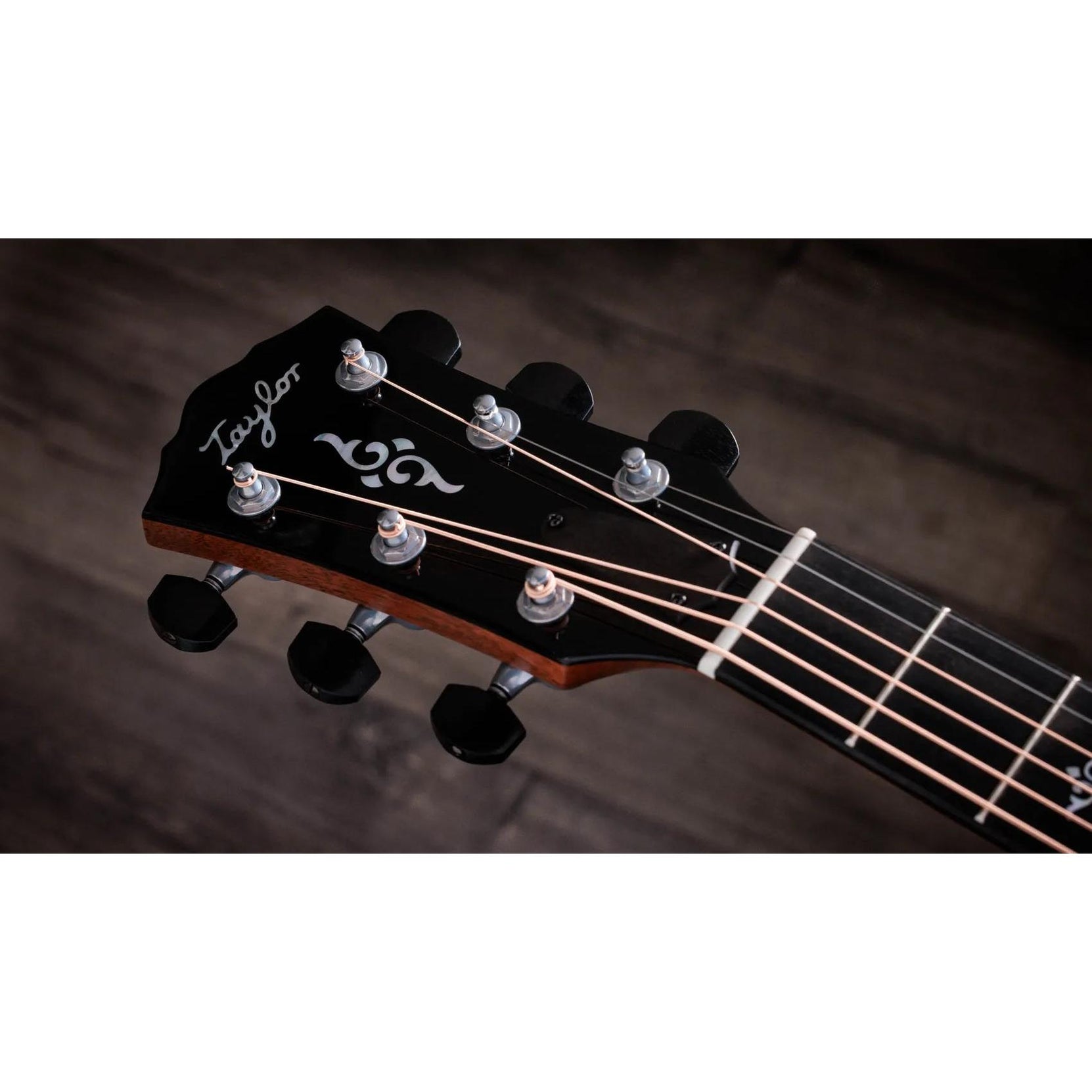 Đàn Guitar Acoustic Taylor Gold Label 814e-Mai Nguyên Music