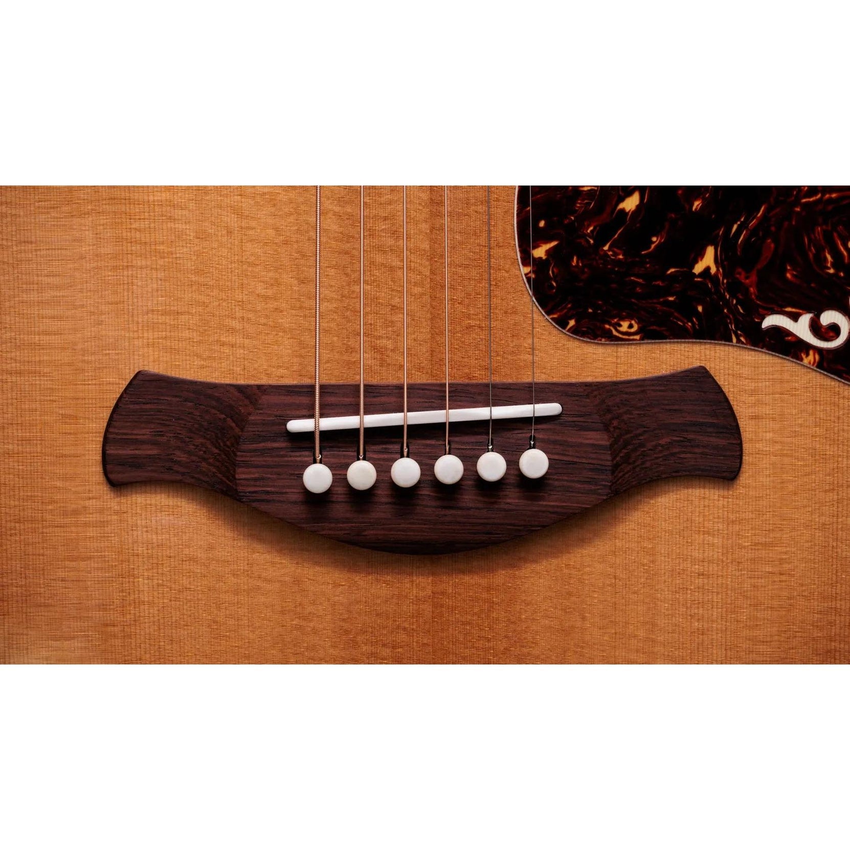 Đàn Guitar Acoustic Taylor Gold Label 814e-Mai Nguyên Music