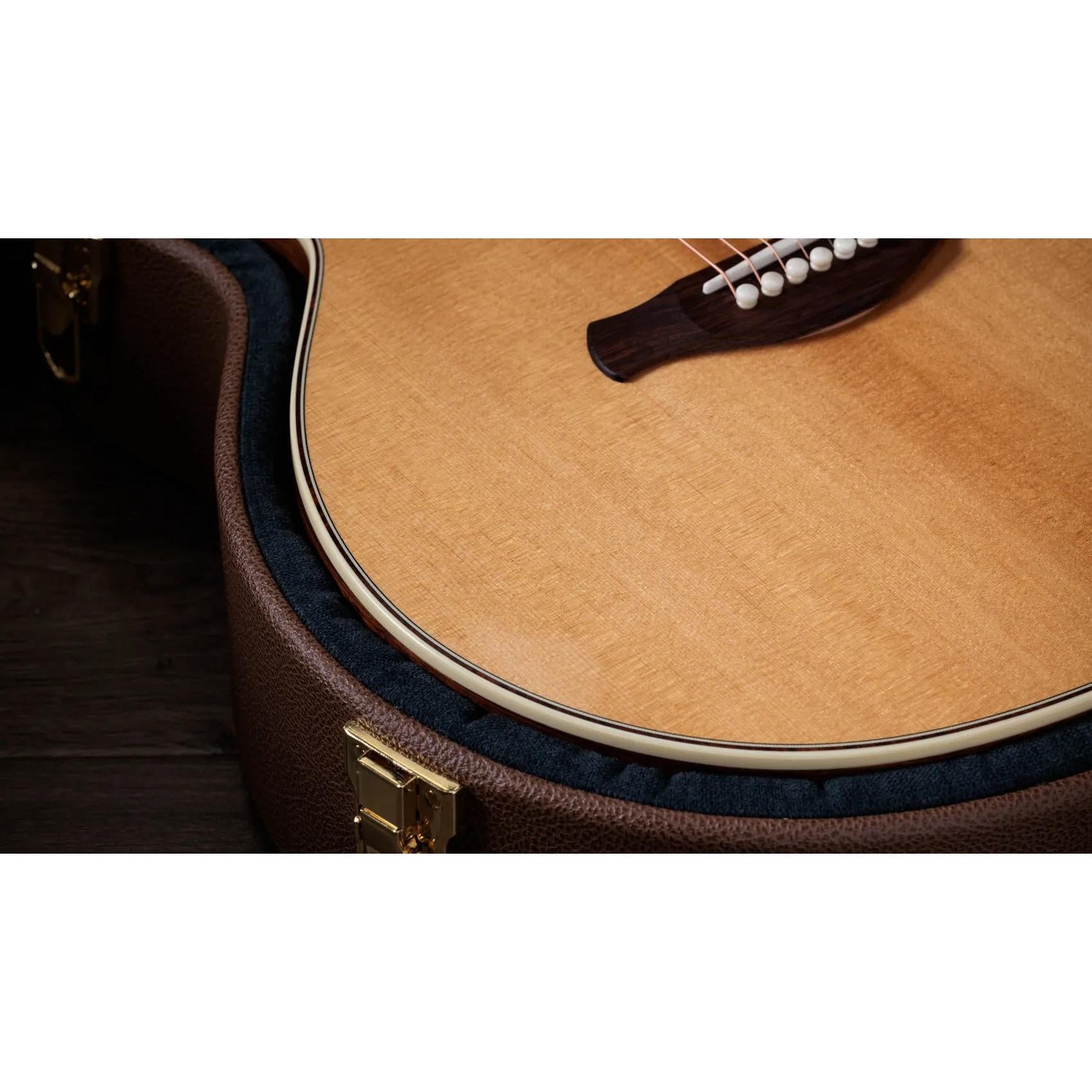 Đàn Guitar Acoustic Taylor Gold Label 814e-Mai Nguyên Music