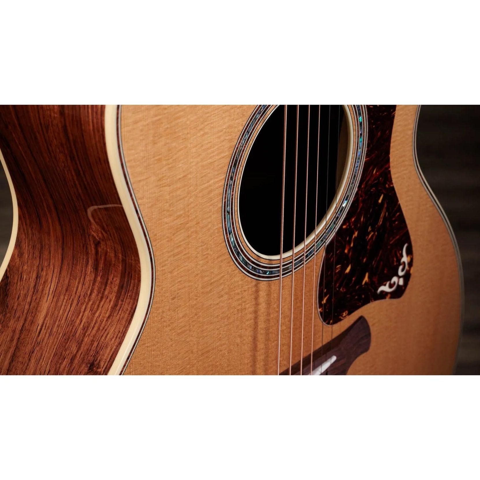 Đàn Guitar Acoustic Taylor Gold Label 814e-Mai Nguyên Music