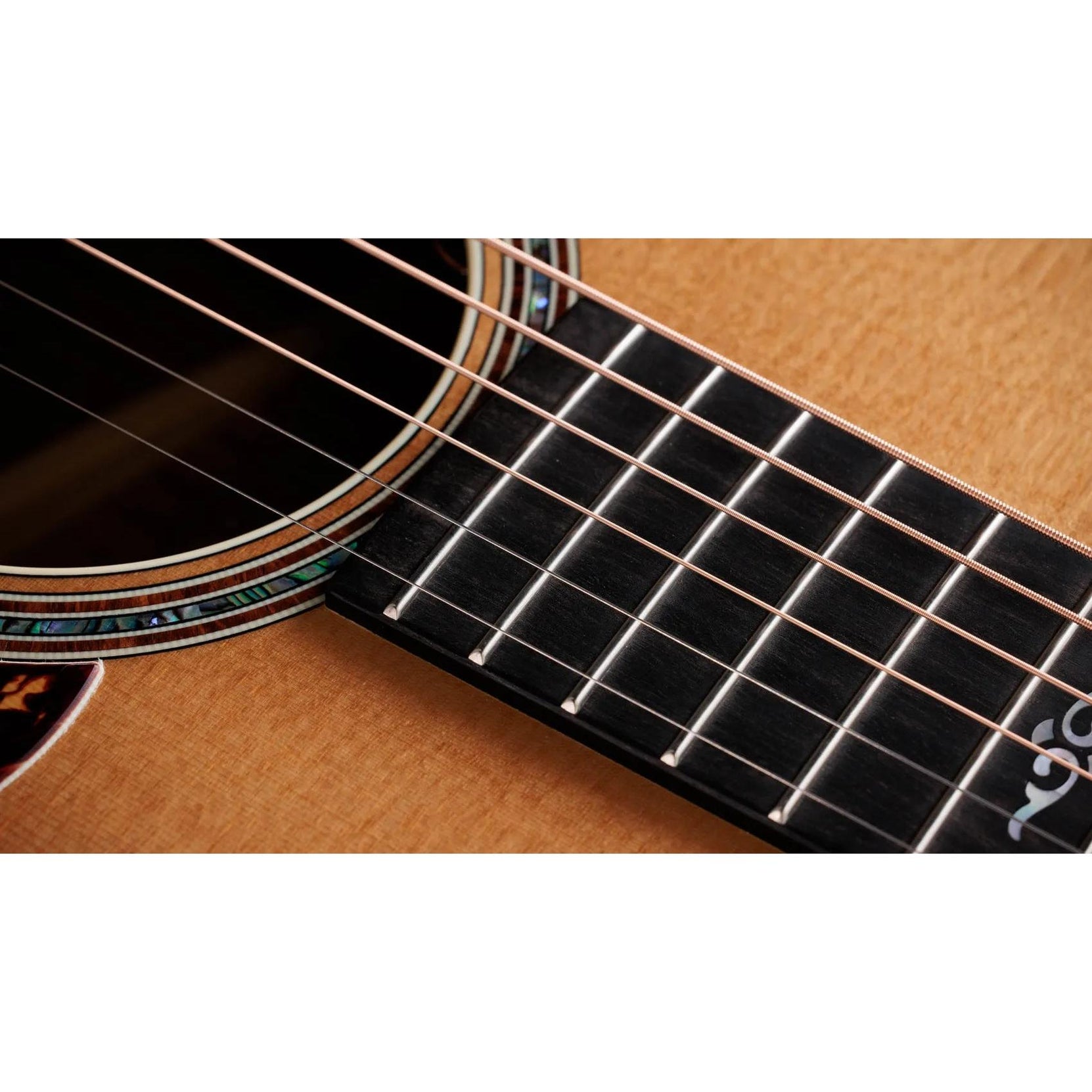Đàn Guitar Acoustic Taylor Gold Label 814e-Mai Nguyên Music