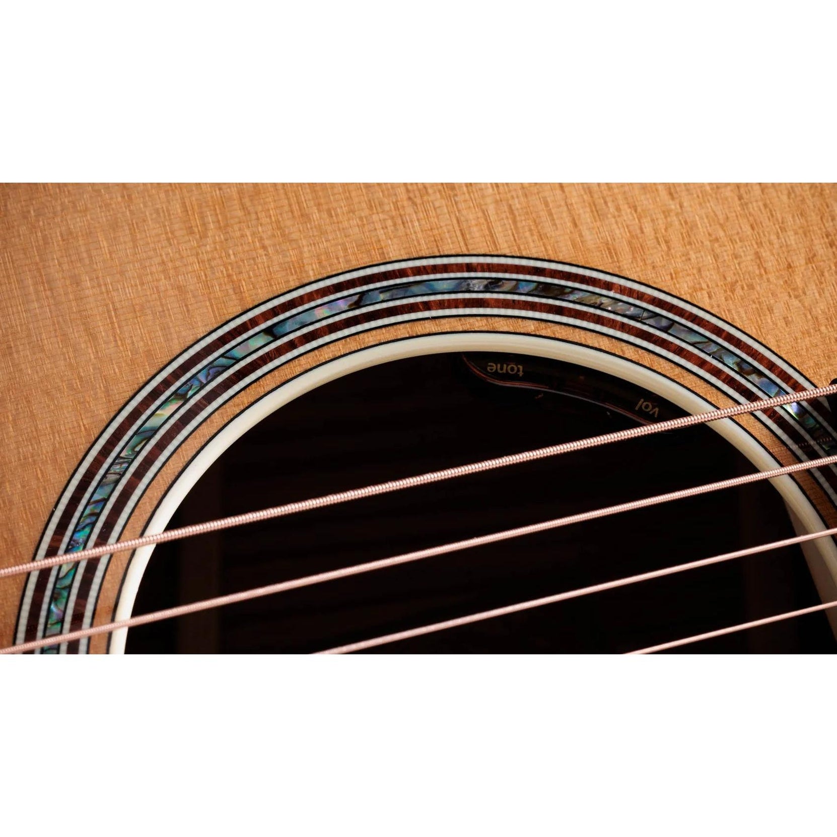 Đàn Guitar Acoustic Taylor Gold Label 814e-Mai Nguyên Music