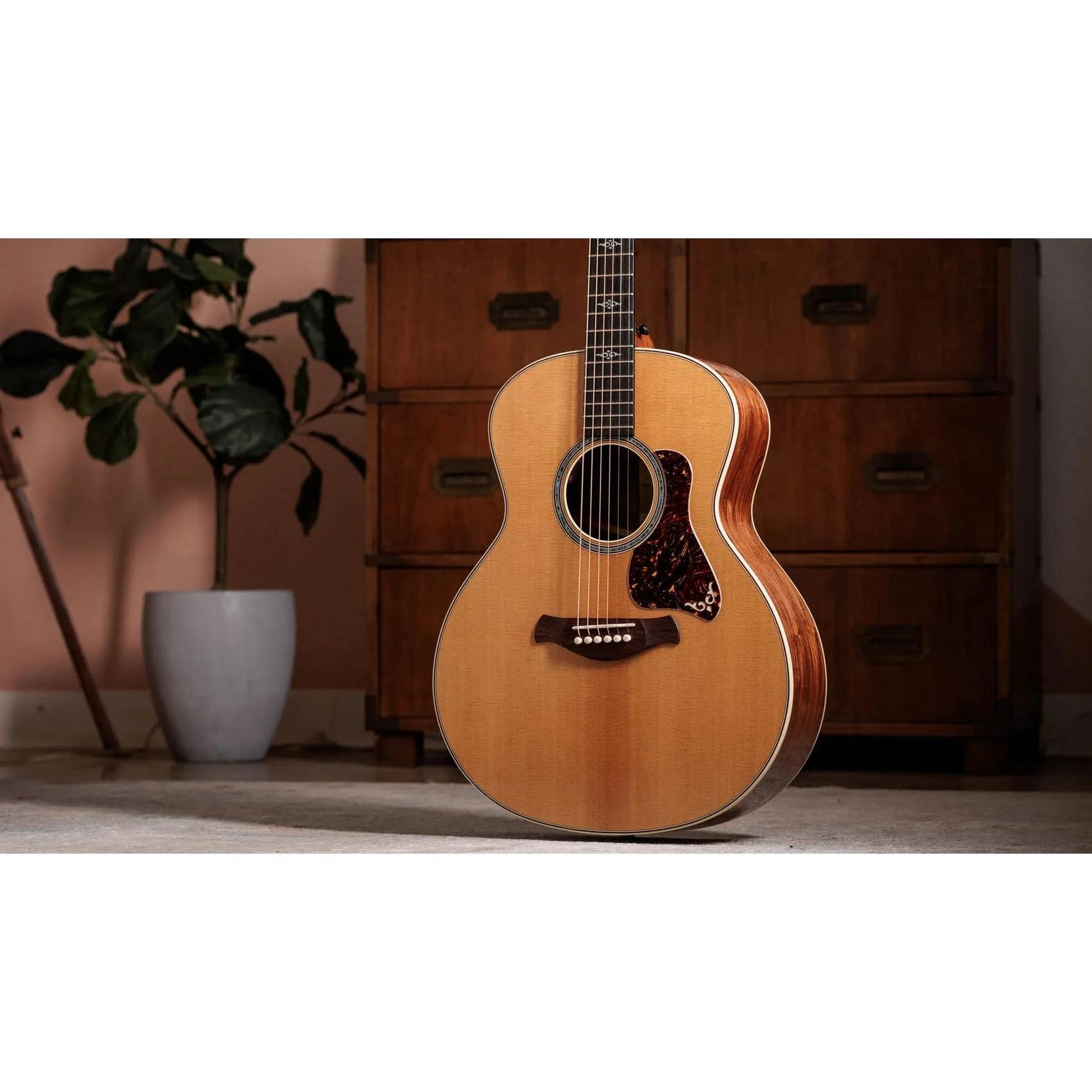 Đàn Guitar Acoustic Taylor Gold Label 814e-Mai Nguyên Music