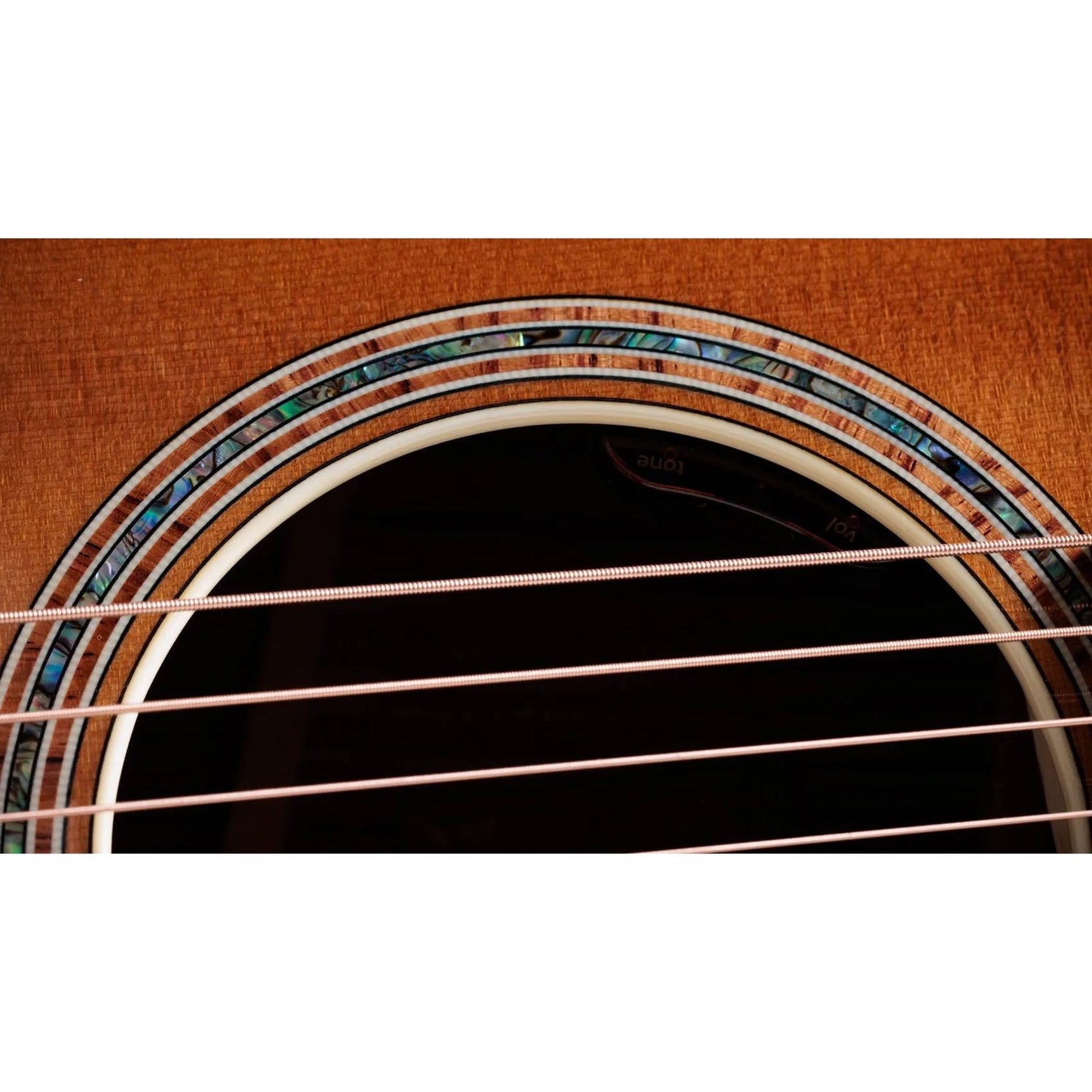 Đàn Guitar Acoustic Taylor Gold Label 814e-Mai Nguyên Music