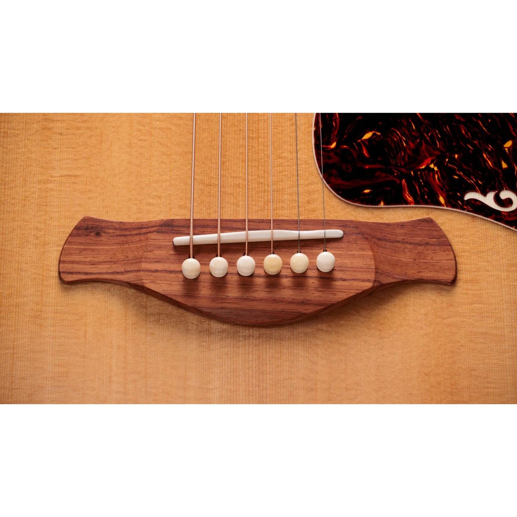 Đàn Guitar Acoustic Taylor Gold Label 817e-Mai Nguyên Music