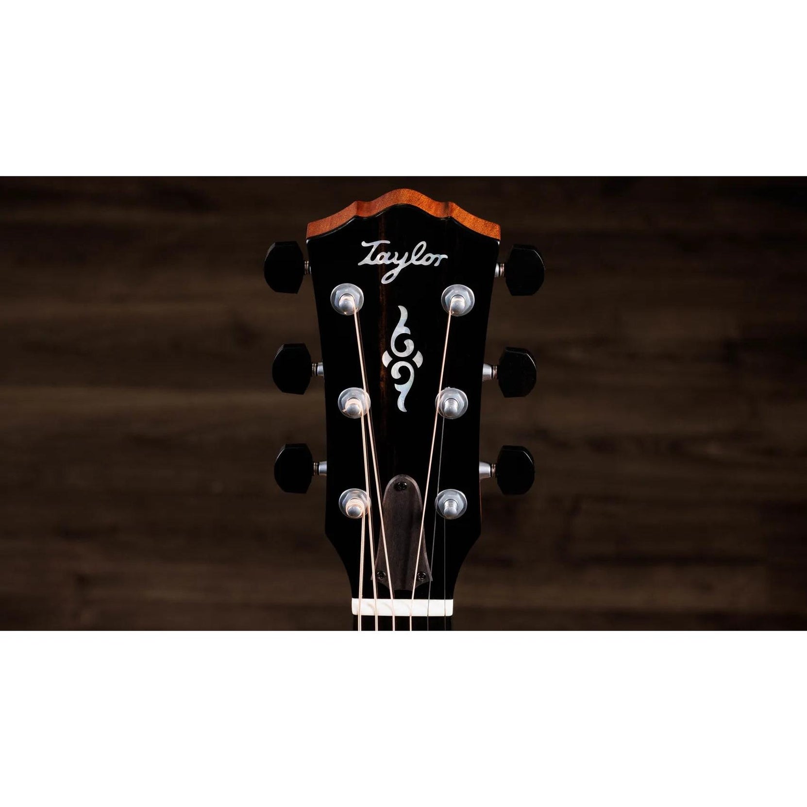 Đàn Guitar Acoustic Taylor Gold Label 817e-Mai Nguyên Music