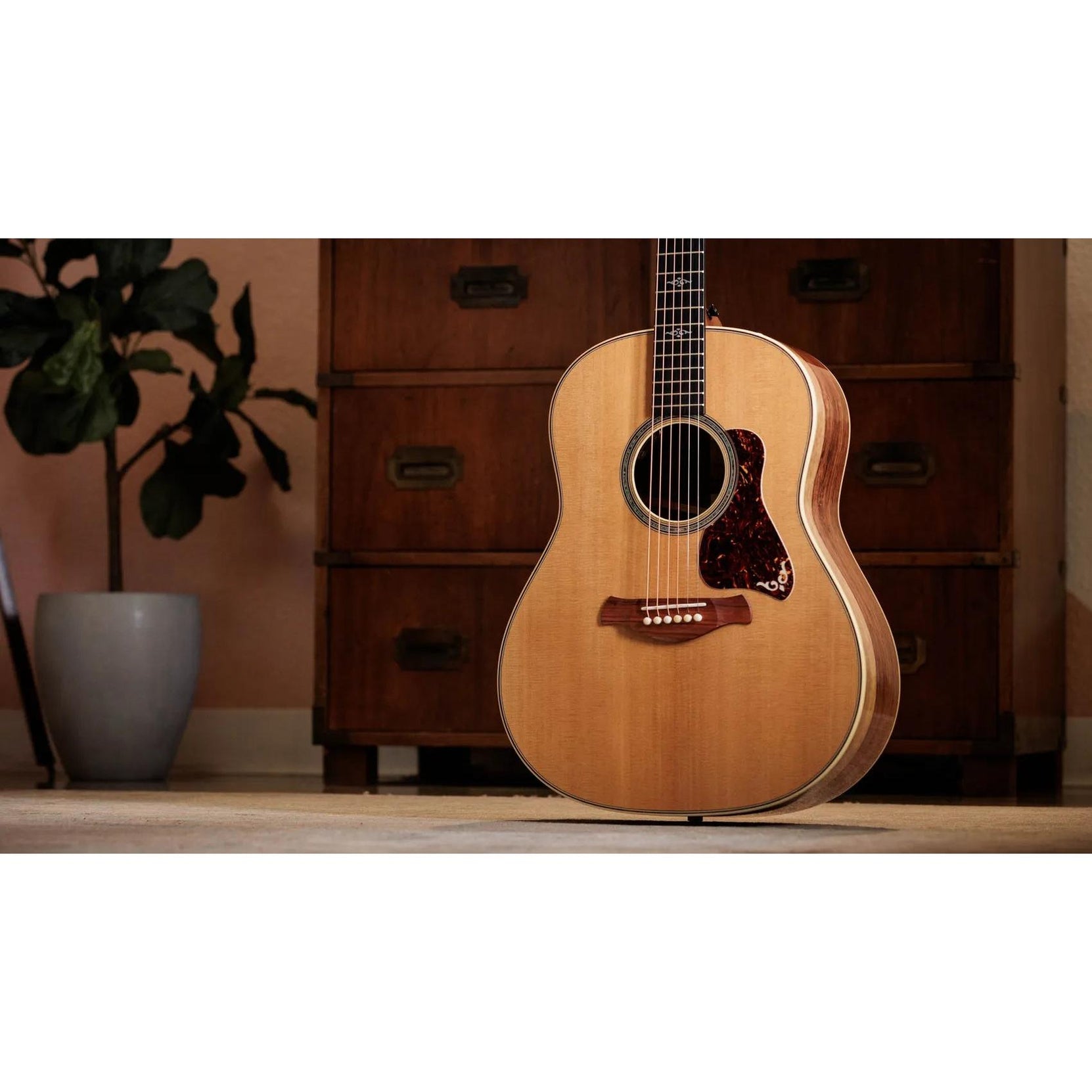 Đàn Guitar Acoustic Taylor Gold Label 817e-Mai Nguyên Music