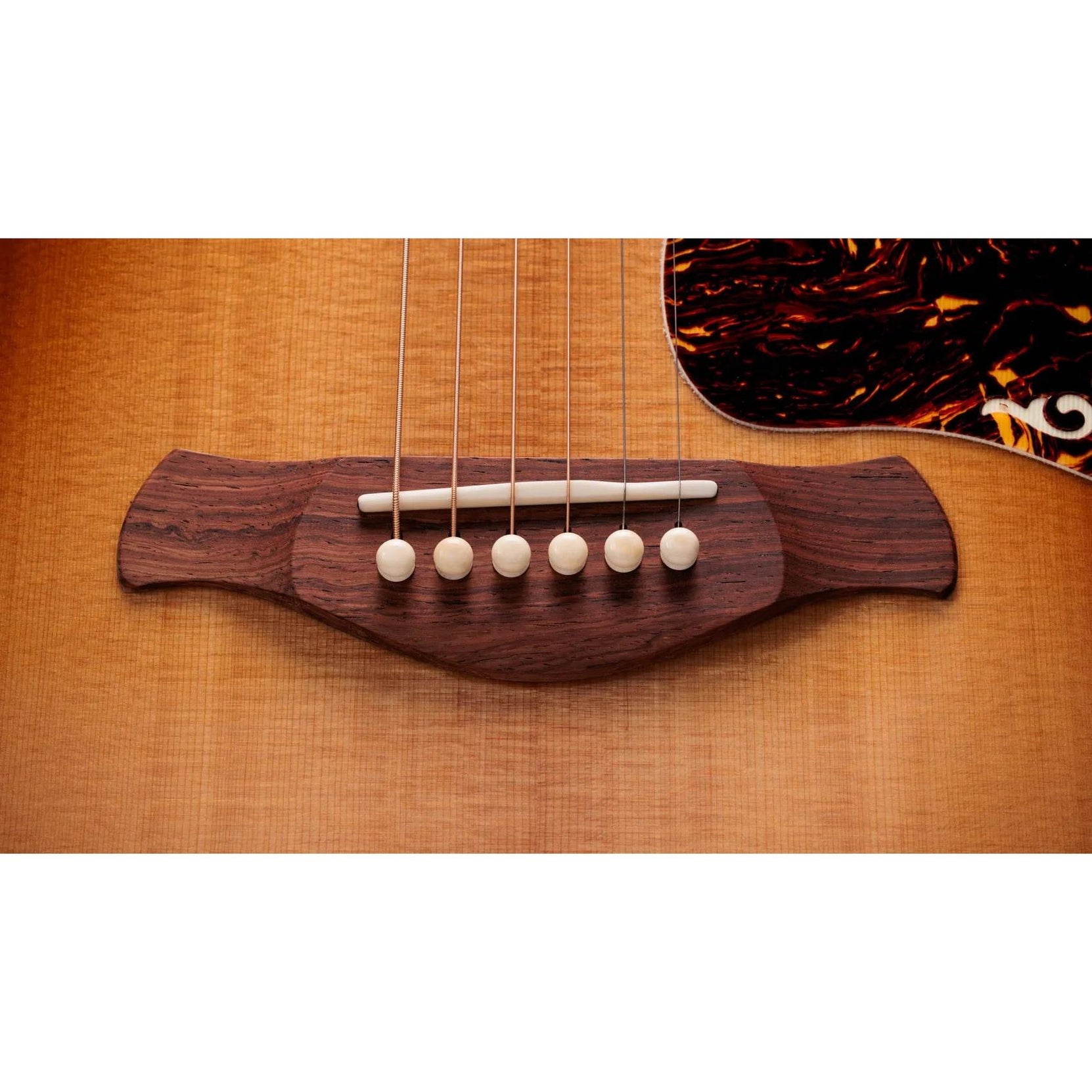 Đàn Guitar Acoustic Taylor Gold Label 817e-Mai Nguyên Music