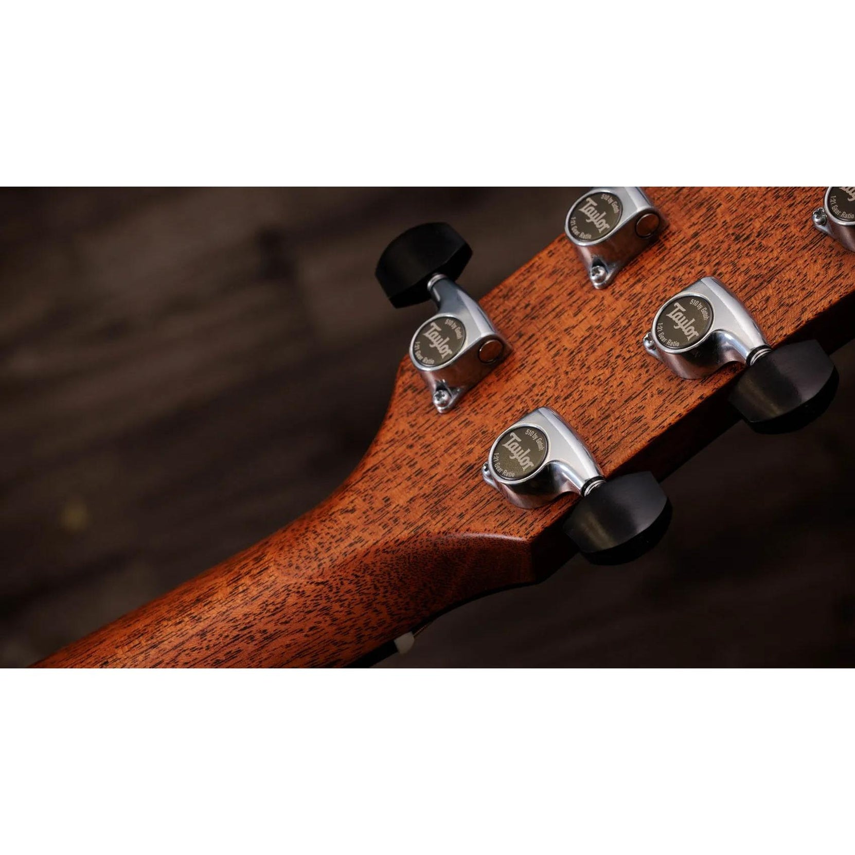 Đàn Guitar Acoustic Taylor Gold Label 817e-Mai Nguyên Music