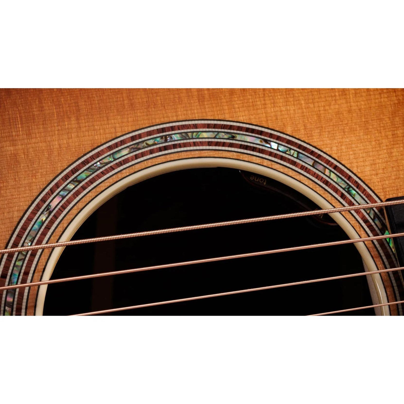 Đàn Guitar Acoustic Taylor Gold Label 817e-Mai Nguyên Music