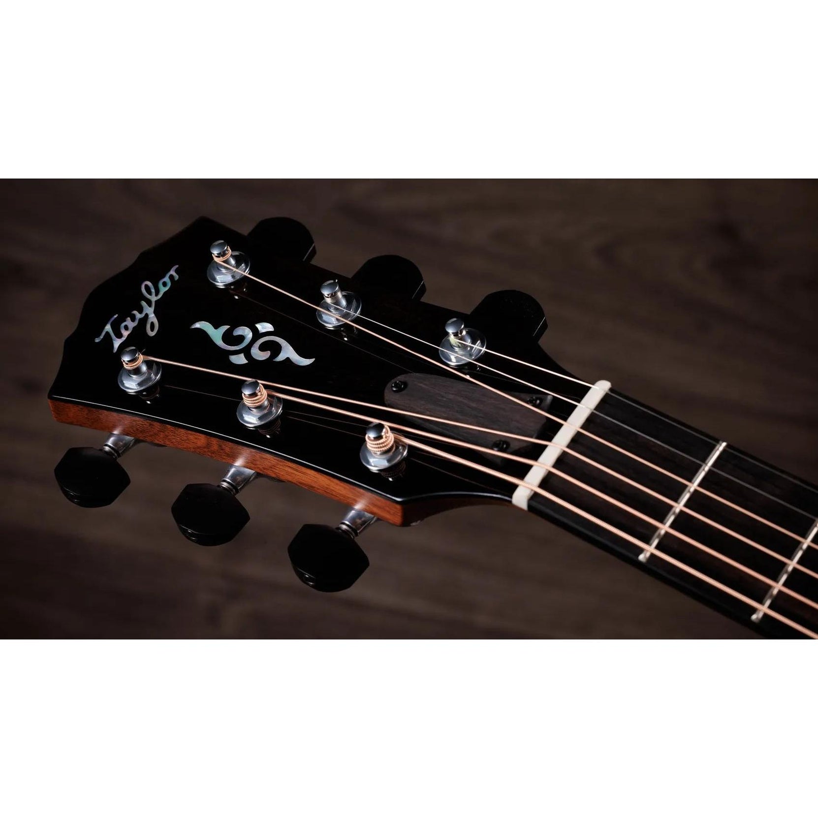 Đàn Guitar Acoustic Taylor Gold Label 817e-Mai Nguyên Music