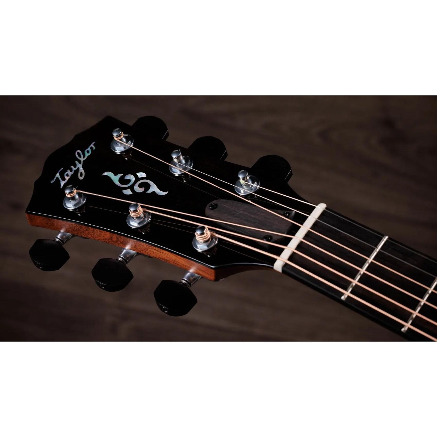 Đàn Guitar Acoustic Taylor Gold Label 817e-Mai Nguyên Music