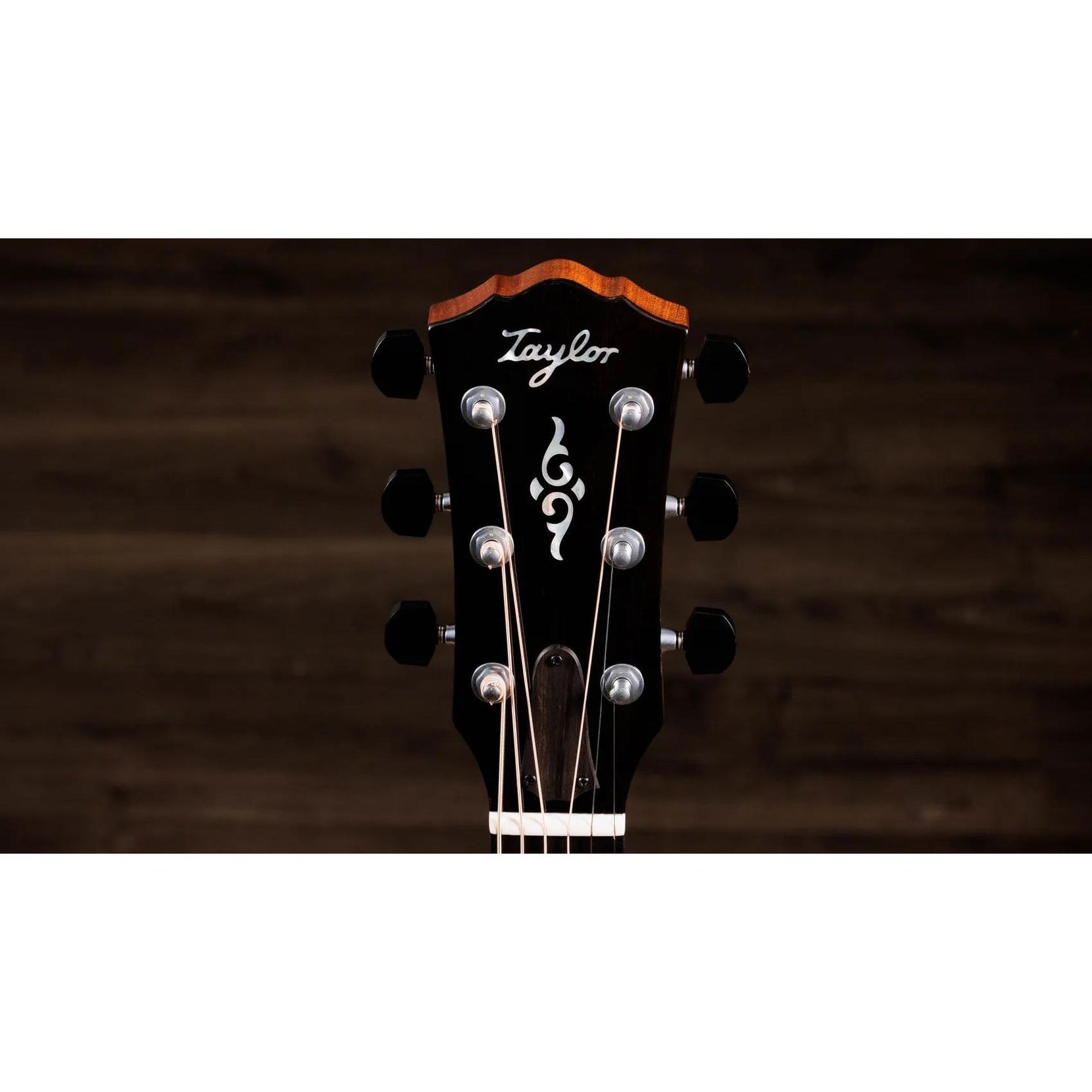 Đàn Guitar Acoustic Taylor Gold Label 817e-Mai Nguyên Music