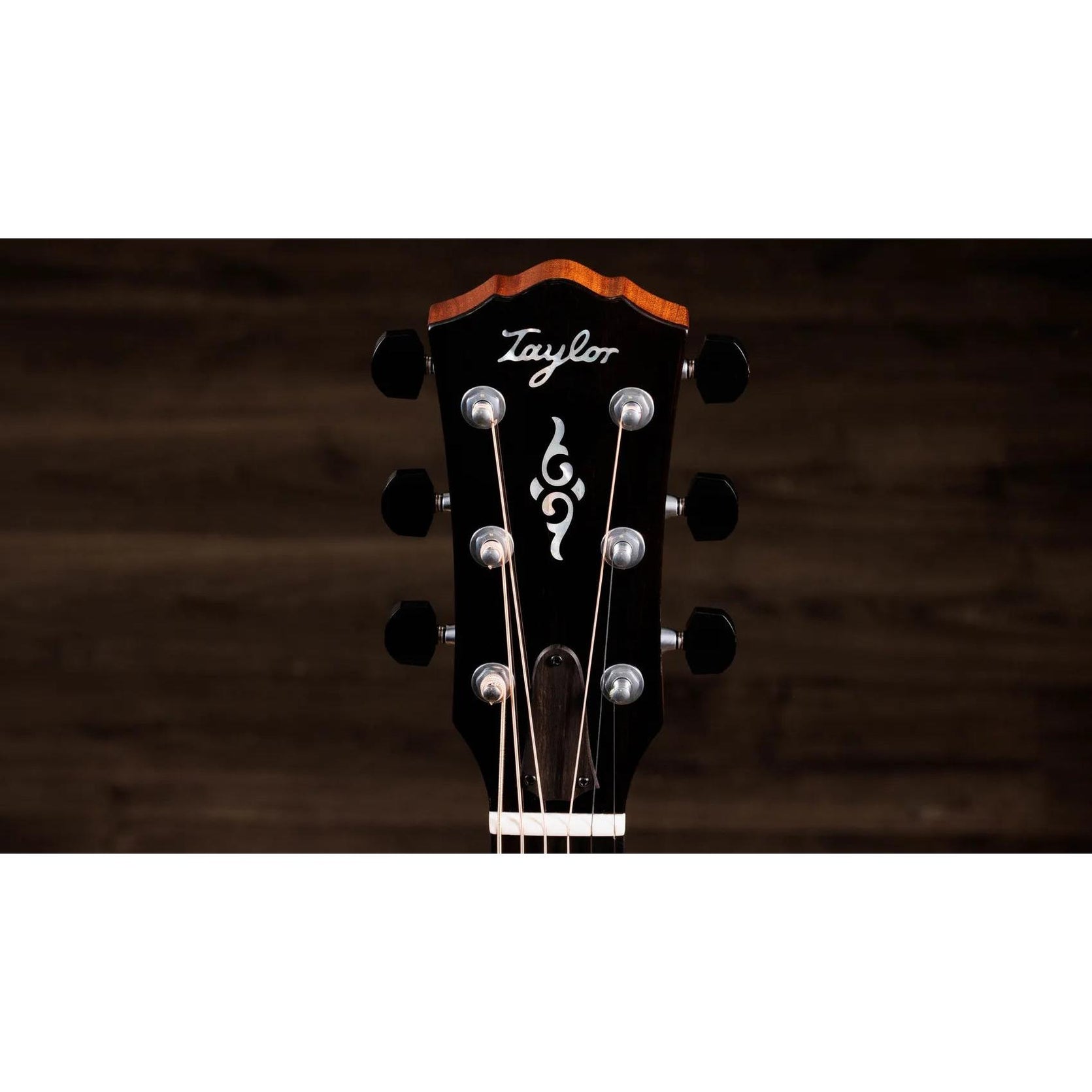Đàn Guitar Acoustic Taylor Gold Label 817e-Mai Nguyên Music