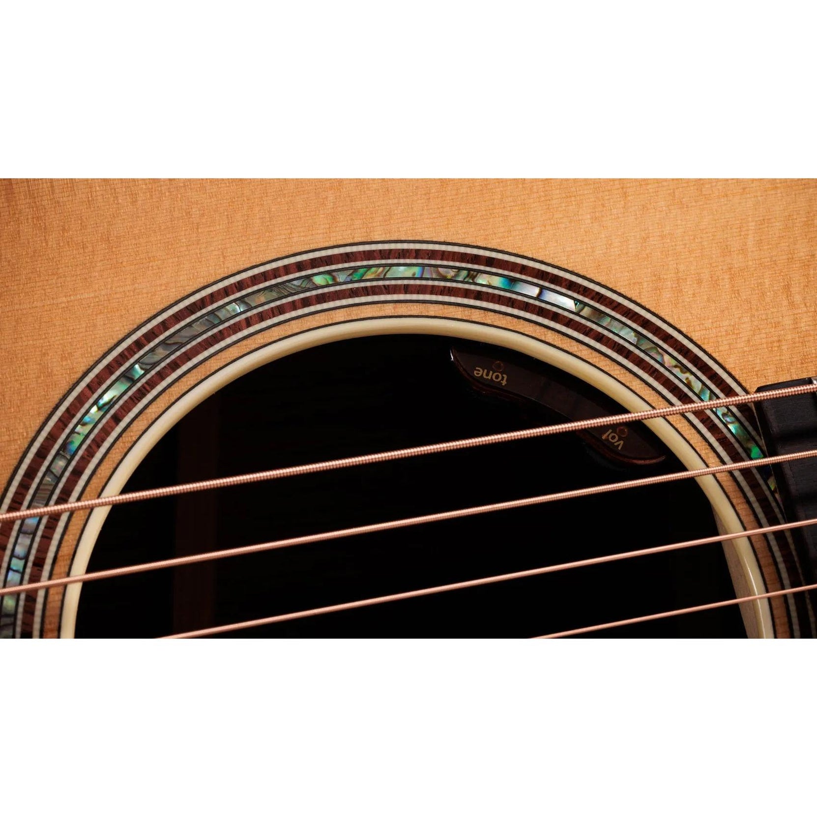 Đàn Guitar Acoustic Taylor Gold Label 817e-Mai Nguyên Music