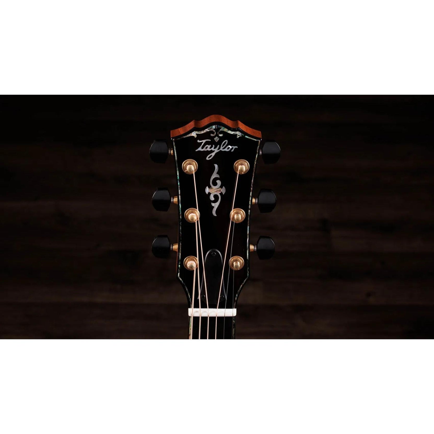Đàn Guitar Acoustic Taylor Gold Label 914e-Mai Nguyên Music
