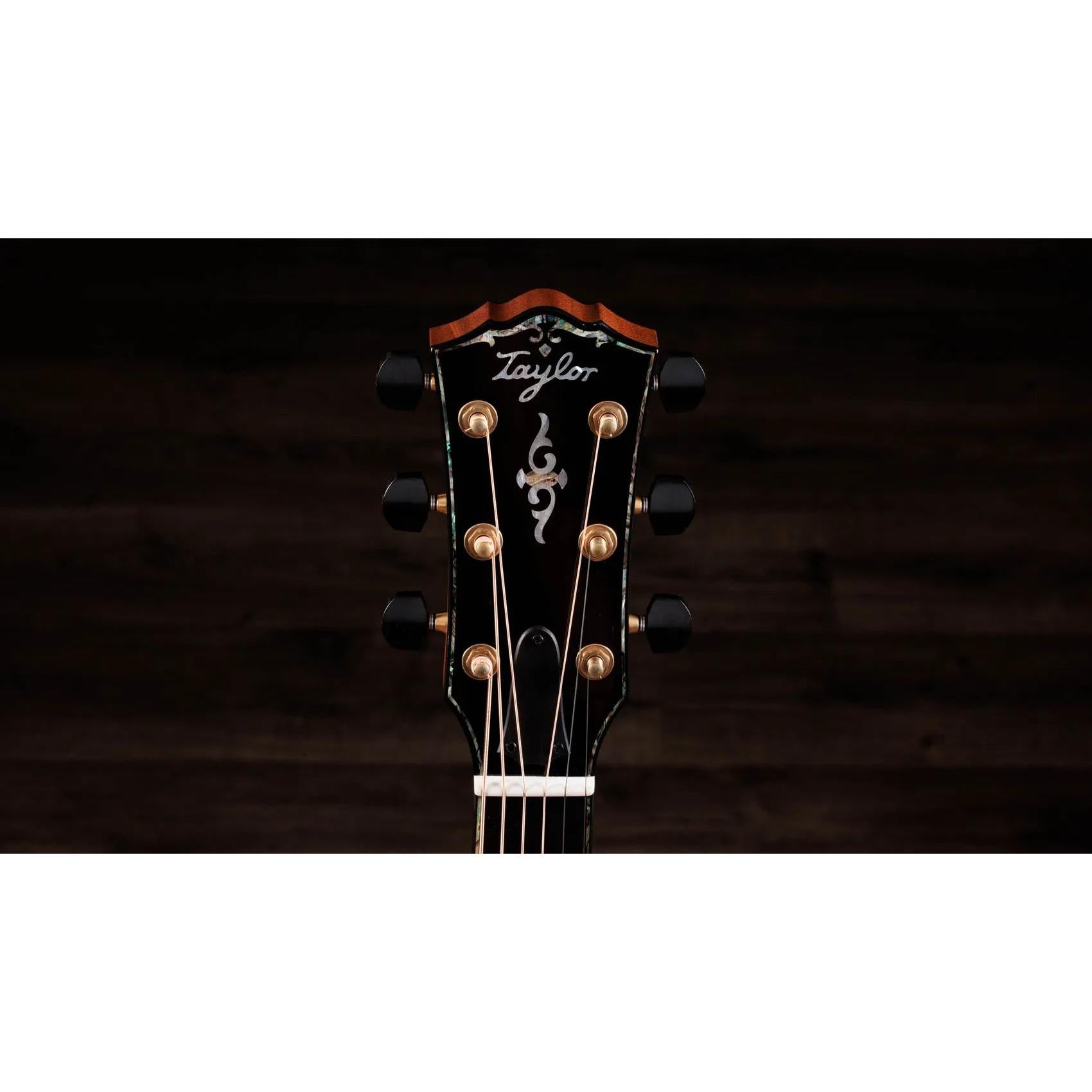 Đàn Guitar Acoustic Taylor Gold Label 914e-Mai Nguyên Music