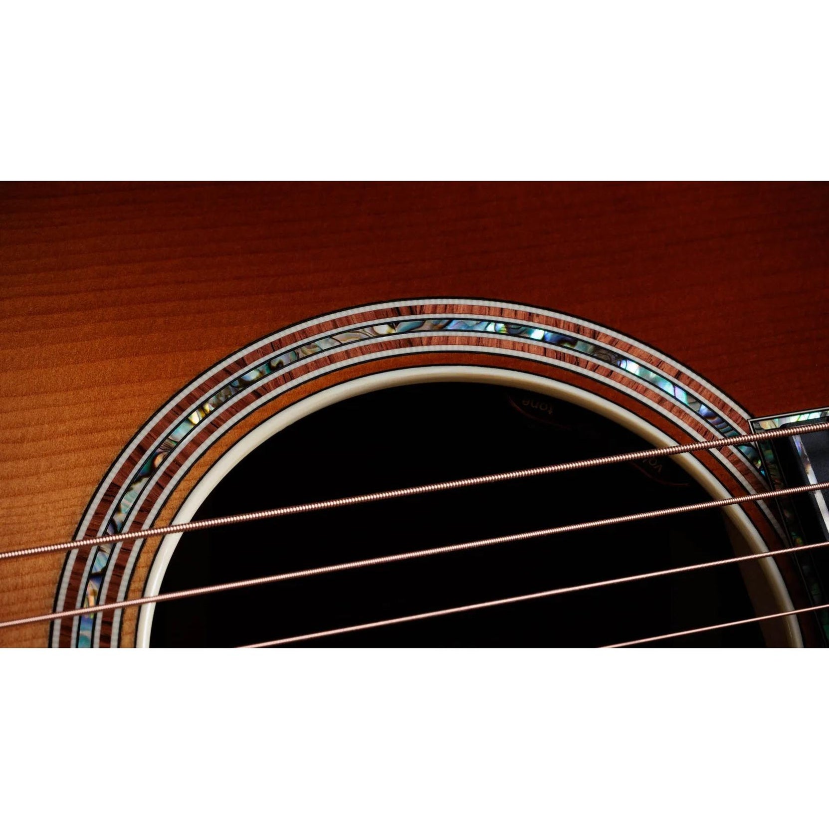 Đàn Guitar Acoustic Taylor Gold Label 914e-Mai Nguyên Music