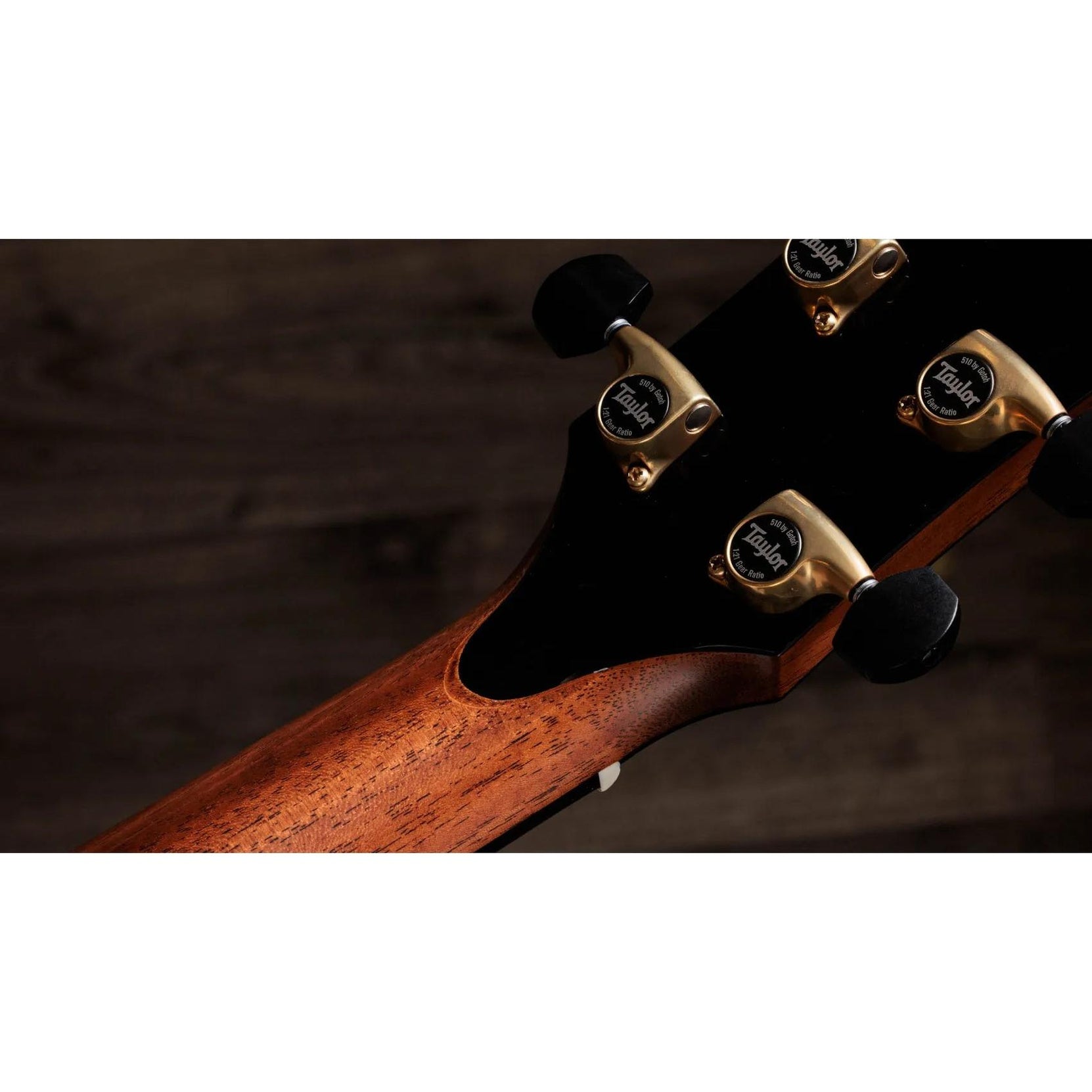 Đàn Guitar Acoustic Taylor Gold Label 914e-Mai Nguyên Music