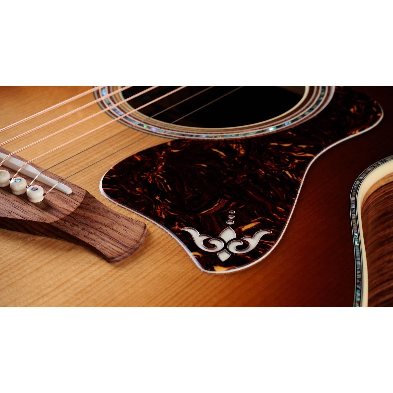 Đàn Guitar Acoustic Taylor Gold Label 914e-Mai Nguyên Music