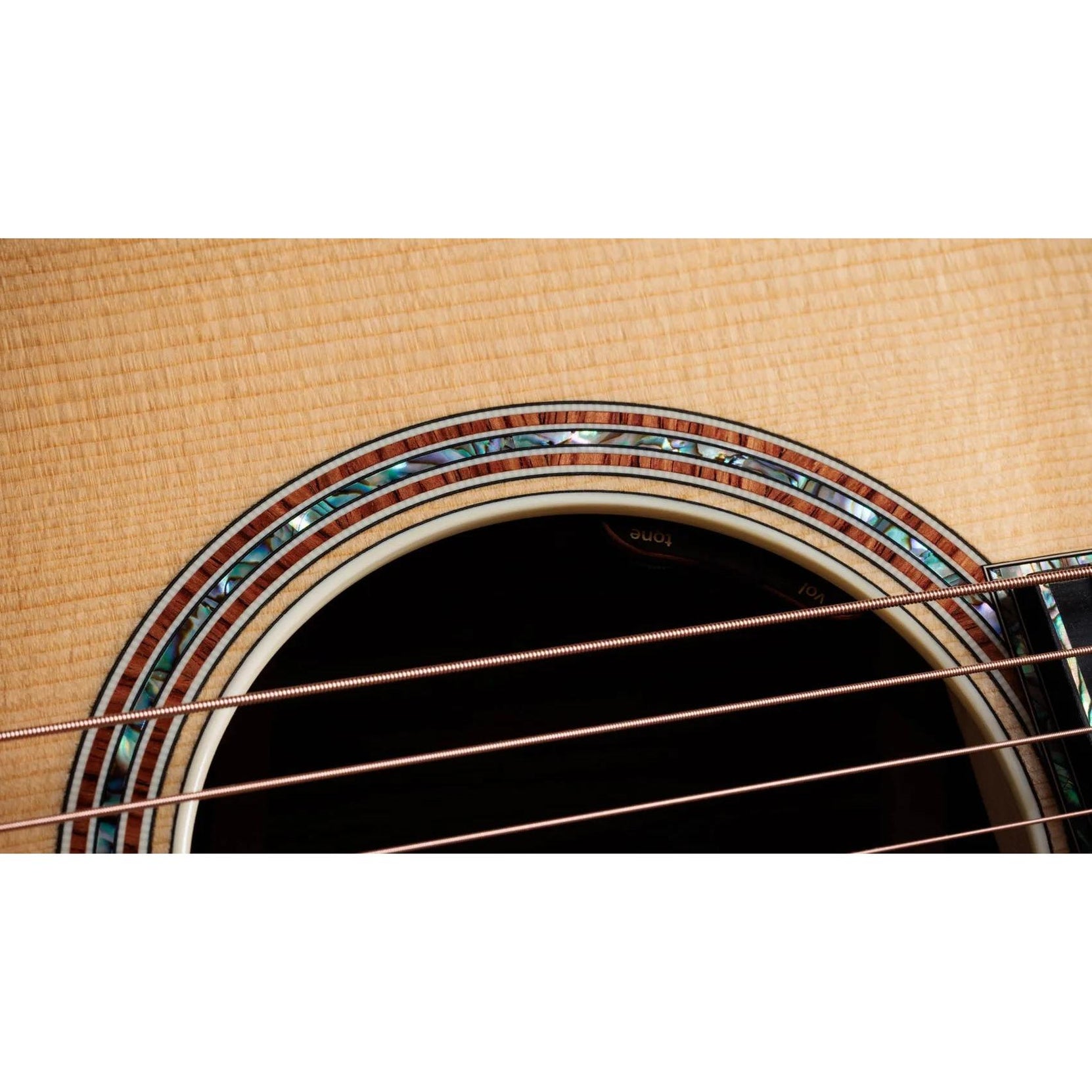 Đàn Guitar Acoustic Taylor Gold Label 914e-Mai Nguyên Music