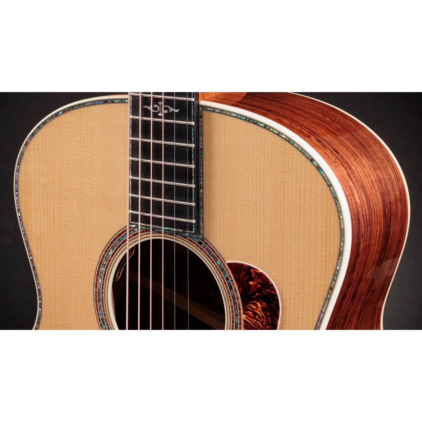 Đàn Guitar Acoustic Taylor Gold Label 914e-Mai Nguyên Music