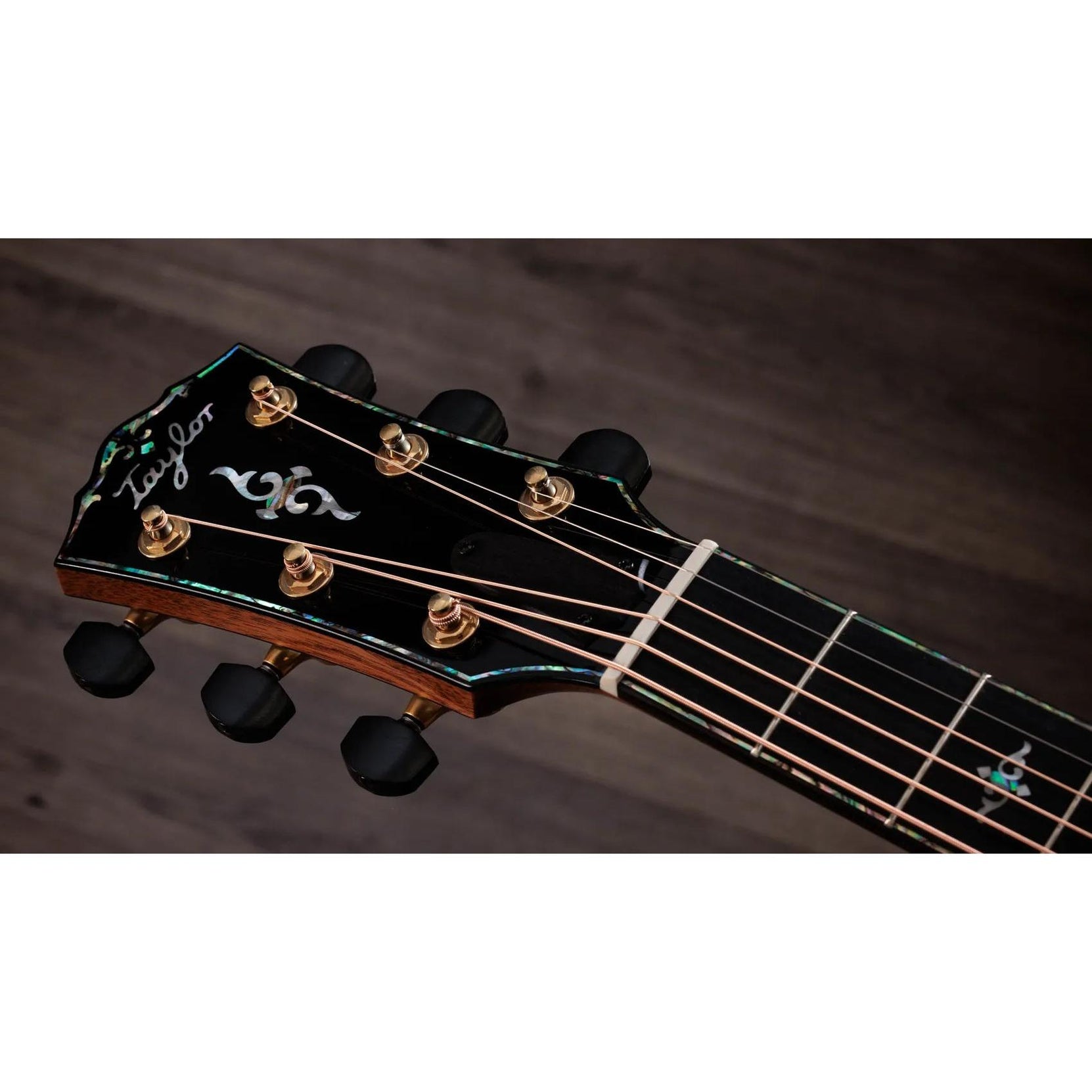 Đàn Guitar Acoustic Taylor Gold Label 914e-Mai Nguyên Music