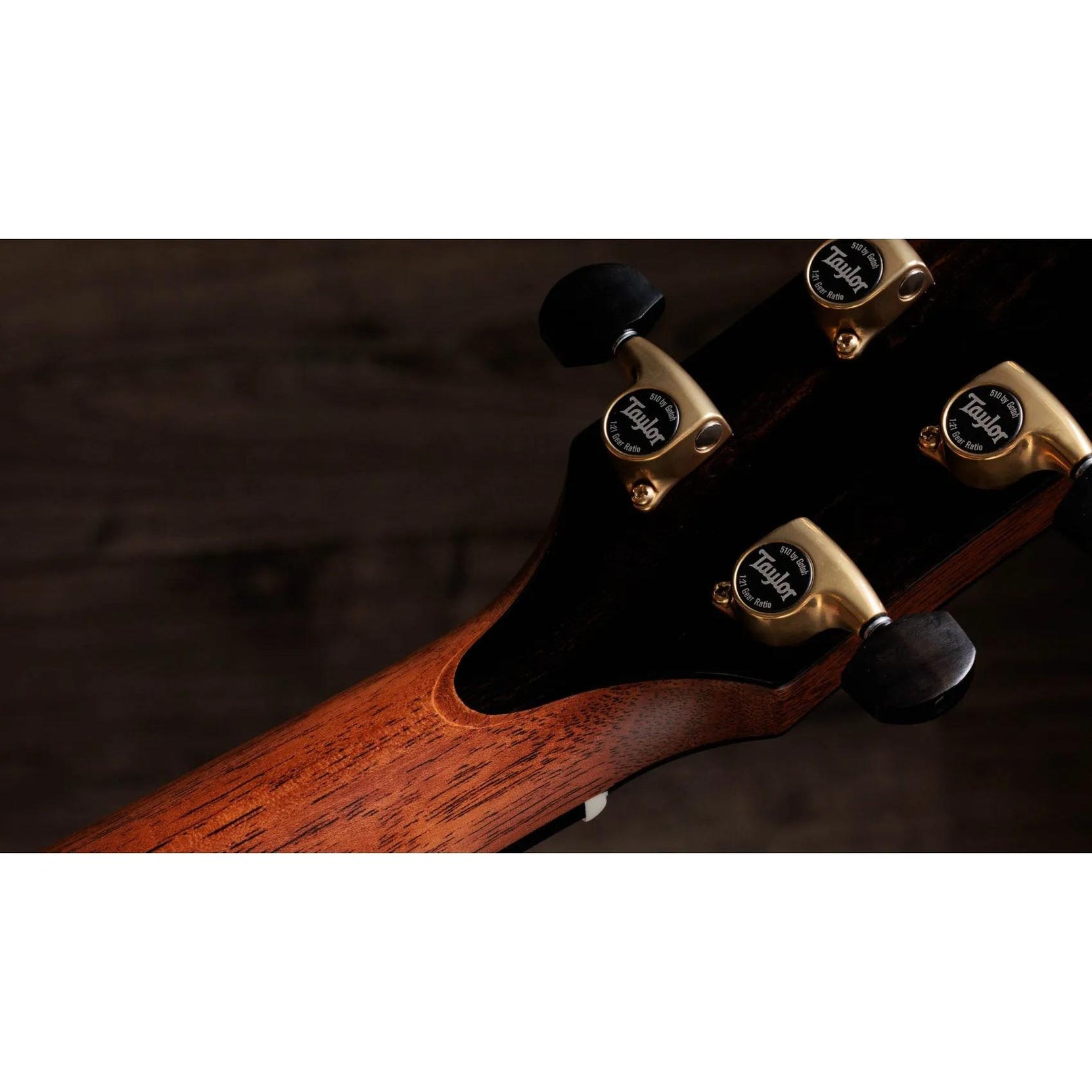 Đàn Guitar Acoustic Taylor Gold Label 917e-Mai Nguyên Music