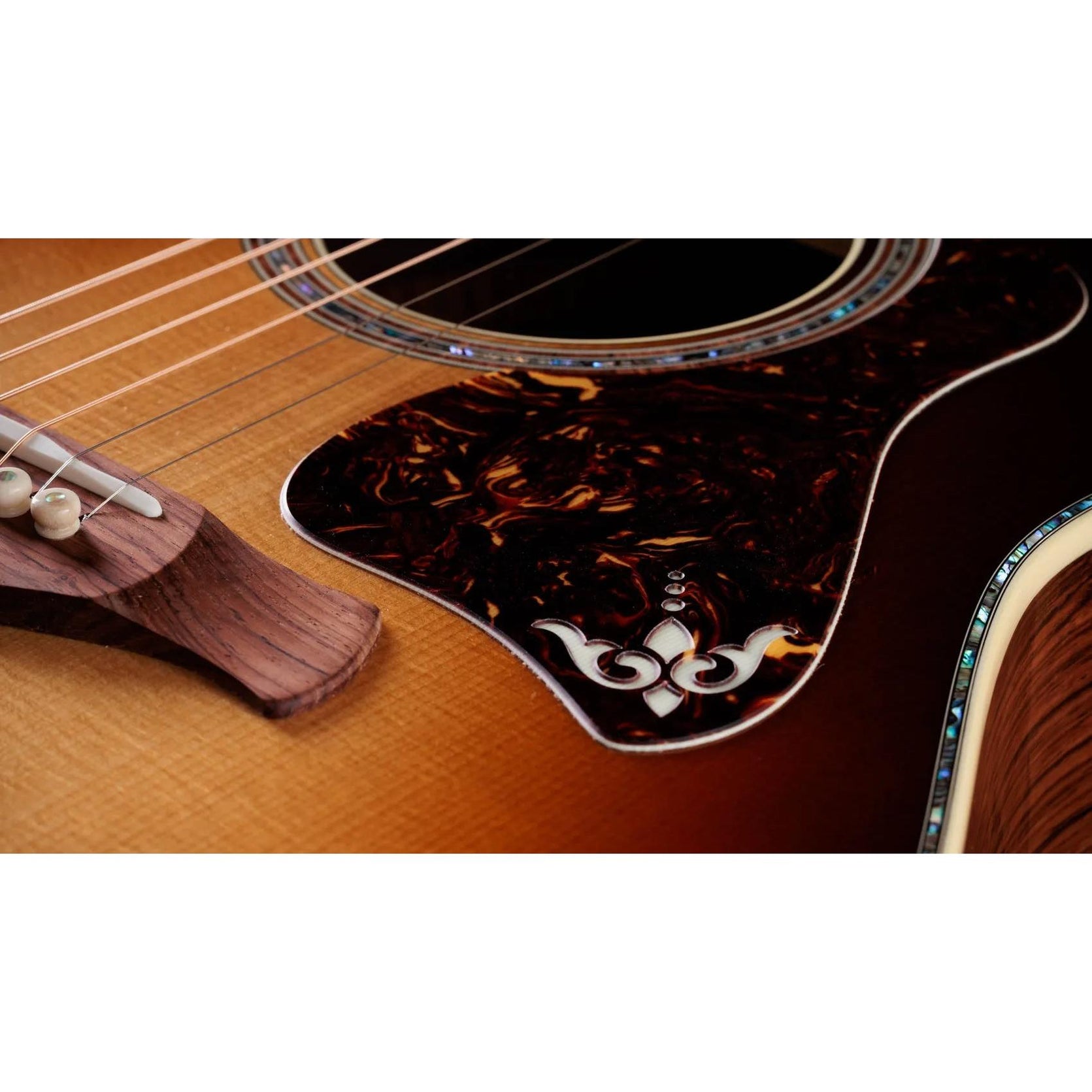Đàn Guitar Acoustic Taylor Gold Label 917e-Mai Nguyên Music