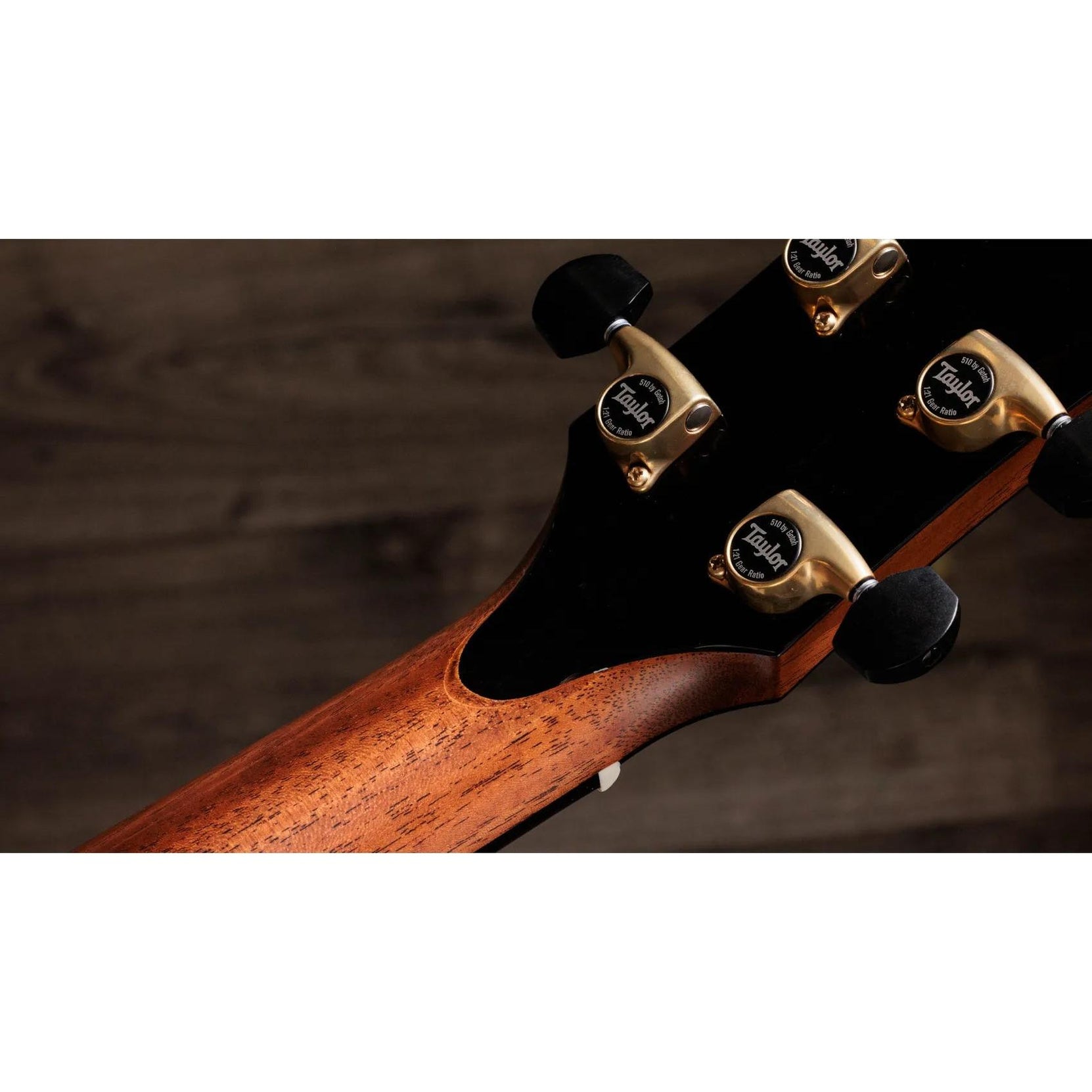 Đàn Guitar Acoustic Taylor Gold Label 917e-Mai Nguyên Music