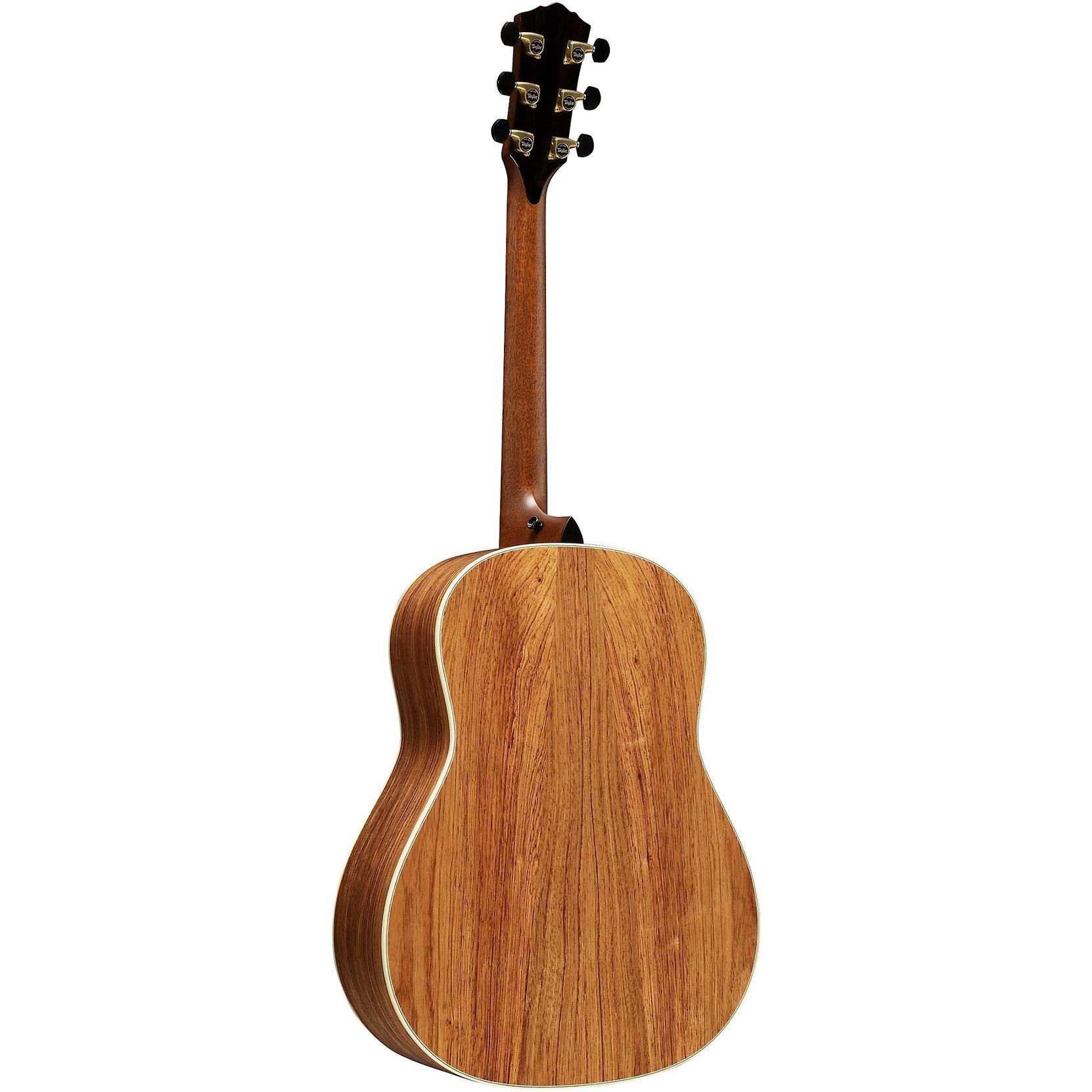 Đàn Guitar Acoustic Taylor Gold Label 917e-Mai Nguyên Music
