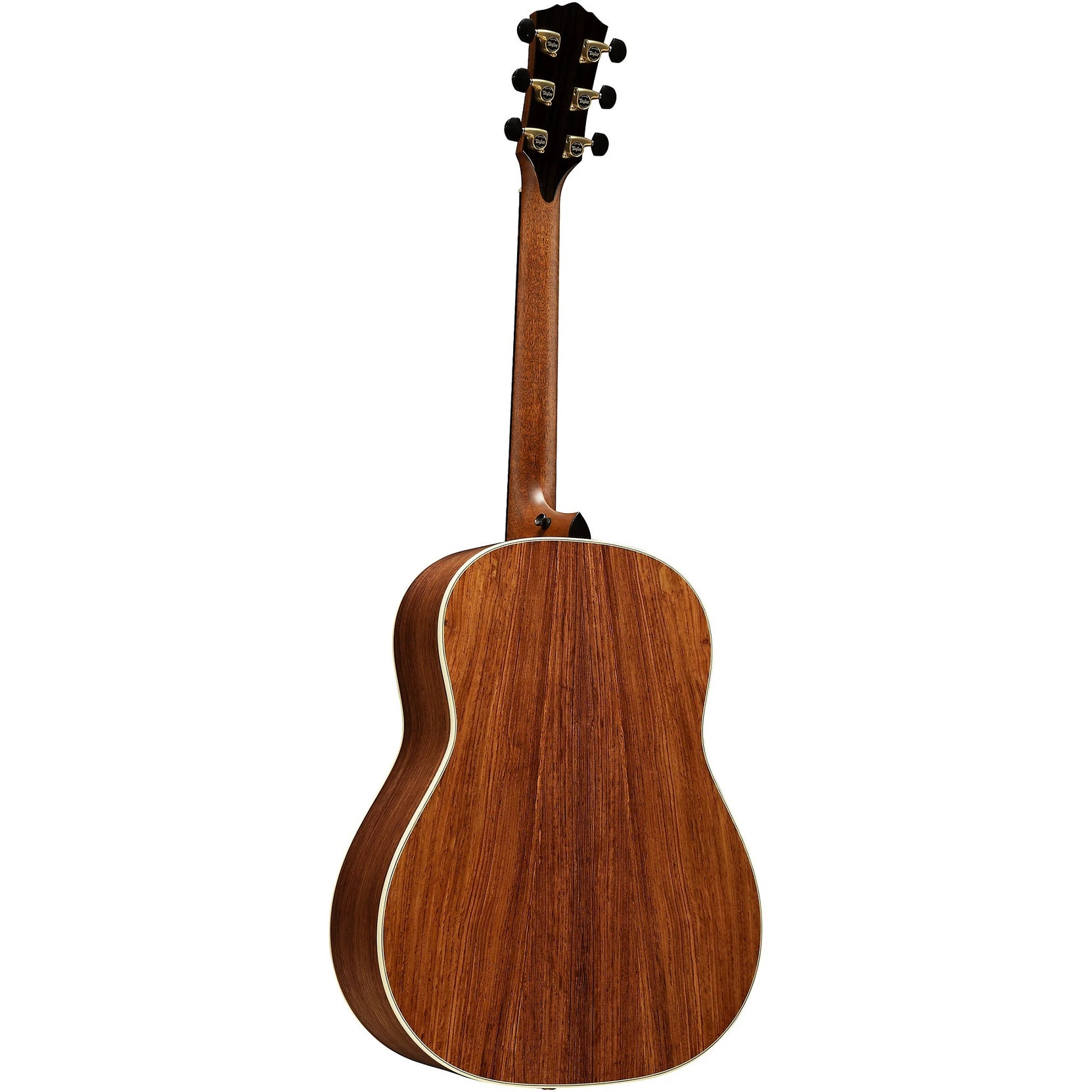 Đàn Guitar Acoustic Taylor Gold Label 917e-Mai Nguyên Music