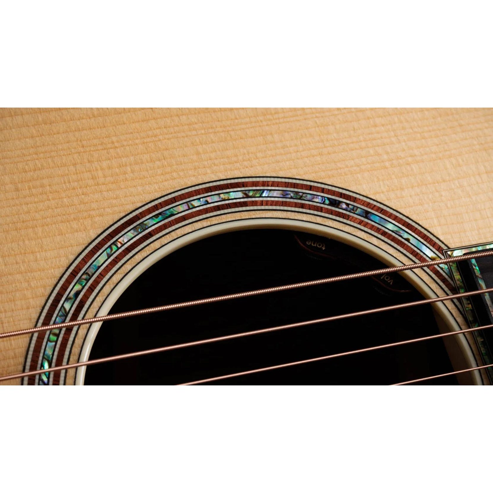 Đàn Guitar Acoustic Taylor Gold Label 917e-Mai Nguyên Music