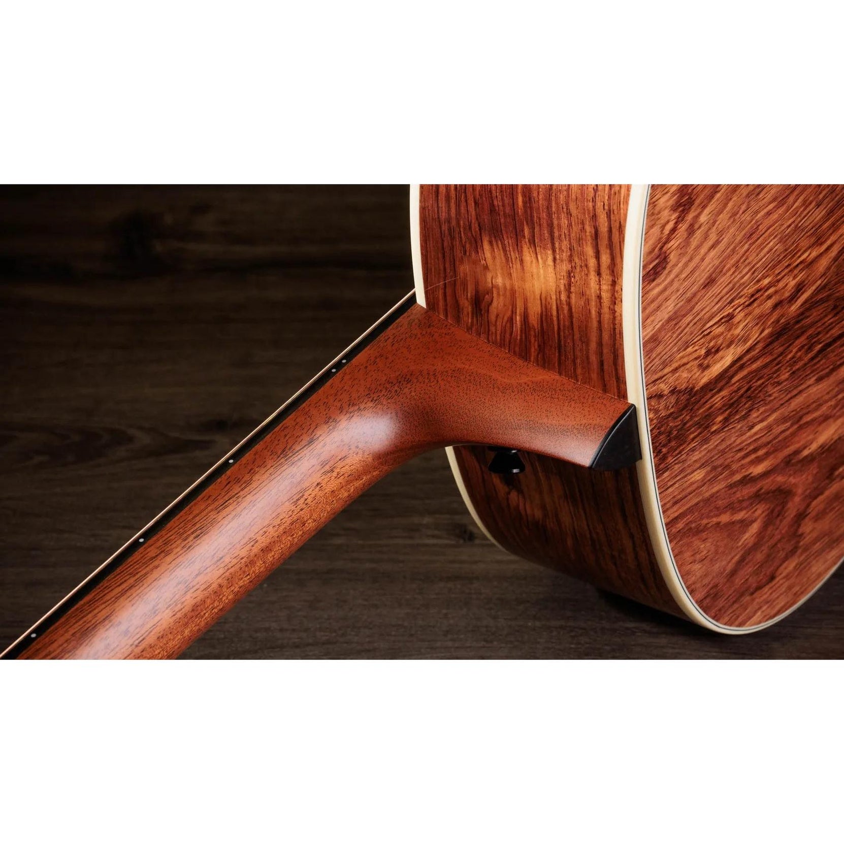 Đàn Guitar Acoustic Taylor Gold Label 917e-Mai Nguyên Music