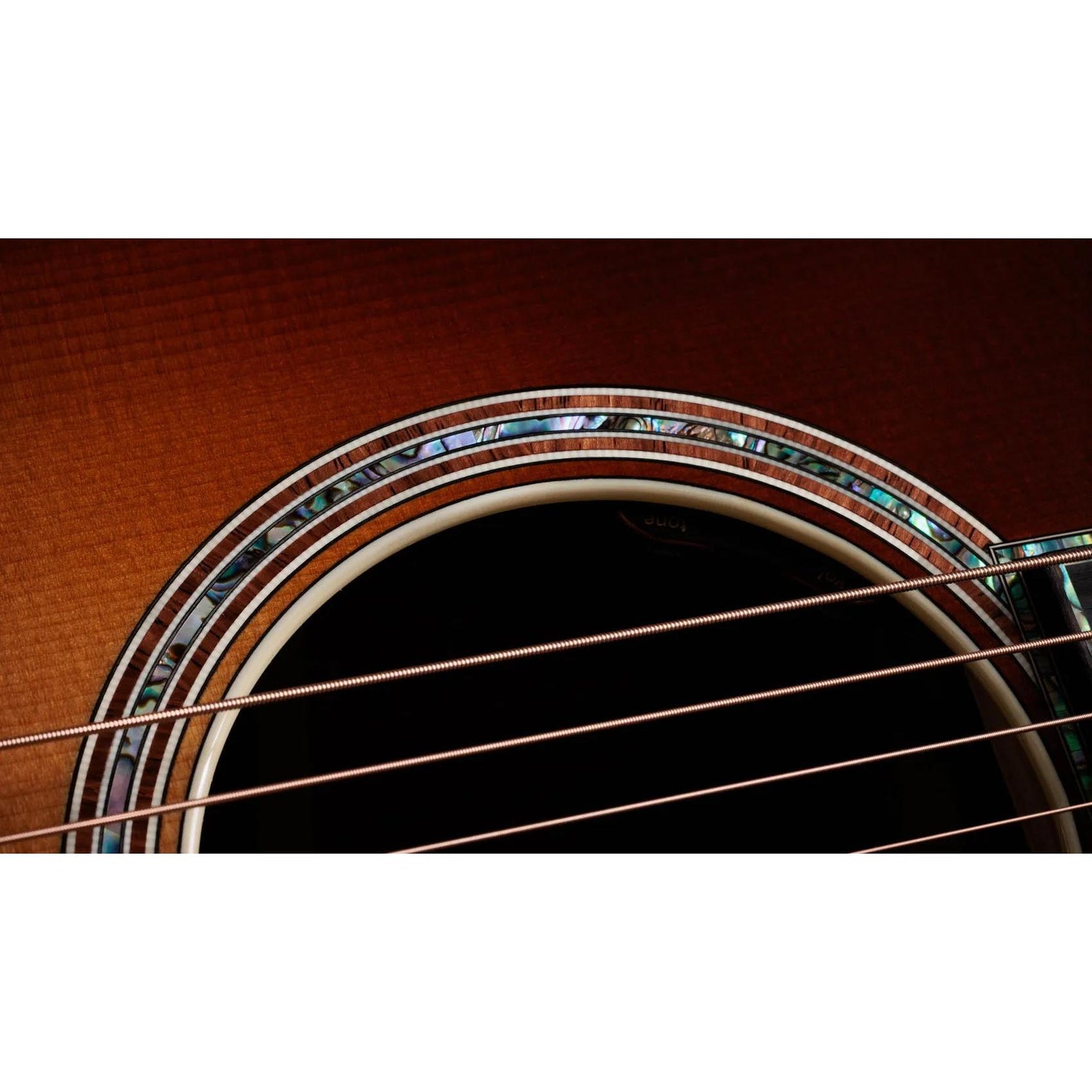 Đàn Guitar Acoustic Taylor Gold Label 917e-Mai Nguyên Music