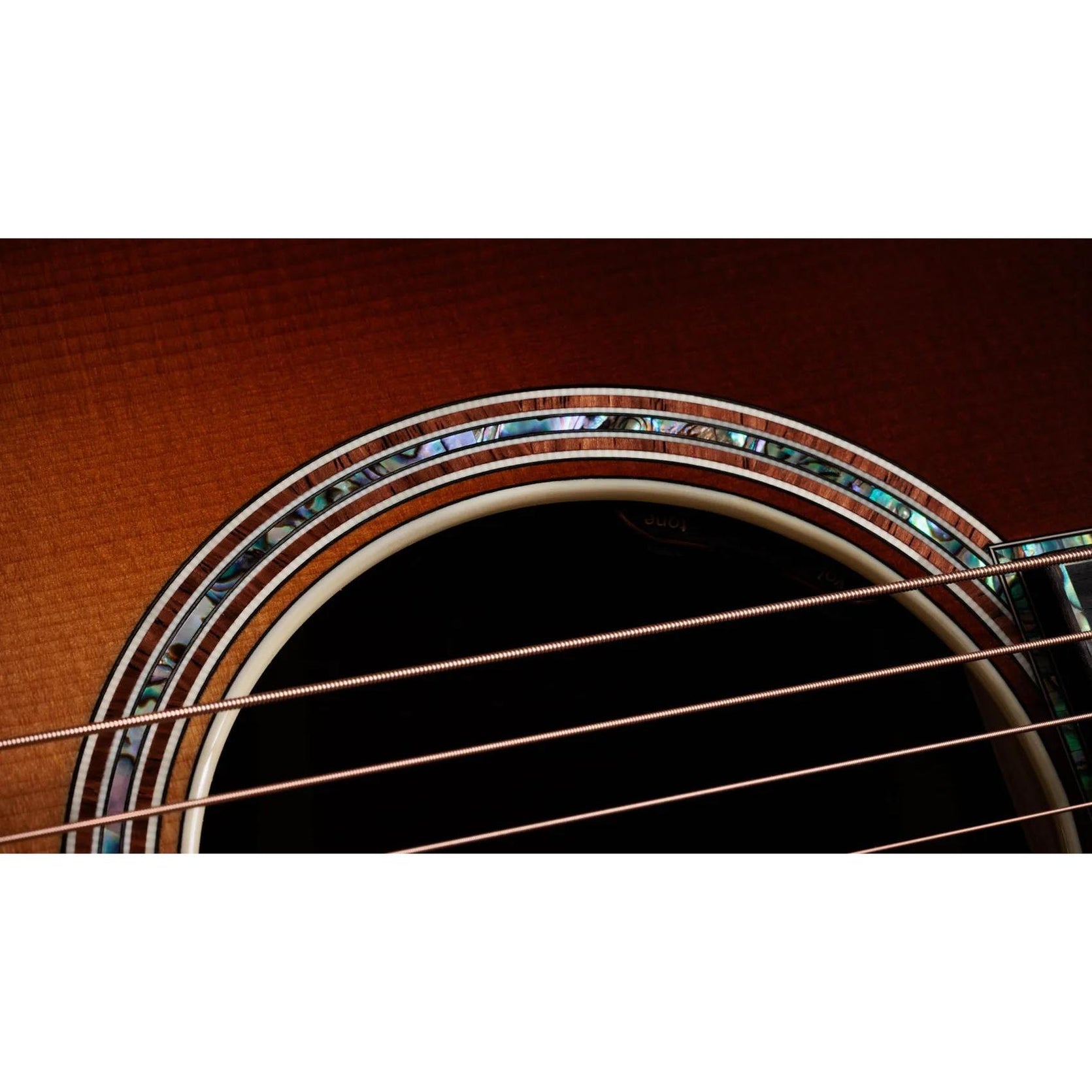 Đàn Guitar Acoustic Taylor Gold Label 917e-Mai Nguyên Music