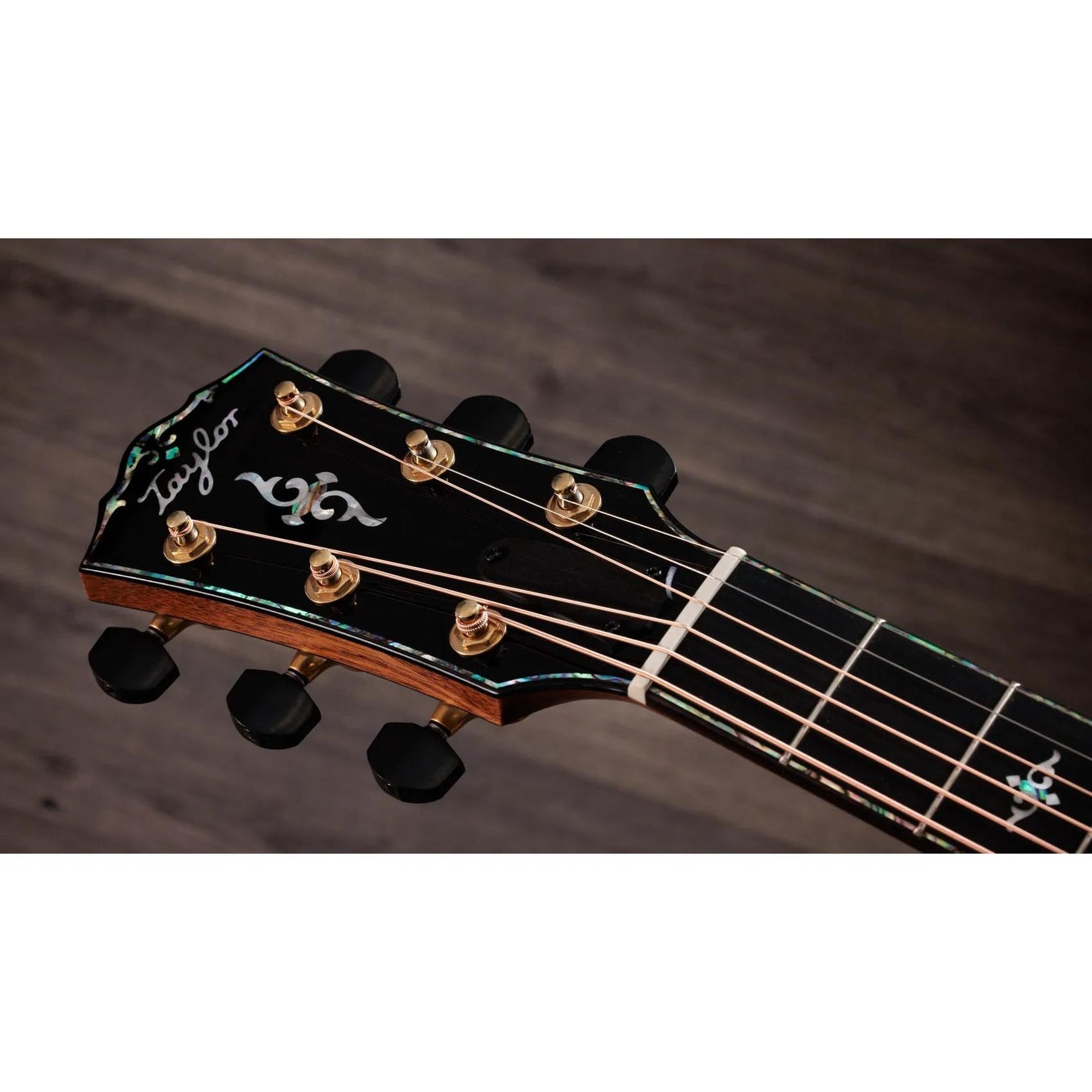 Đàn Guitar Acoustic Taylor Gold Label 917e-Mai Nguyên Music