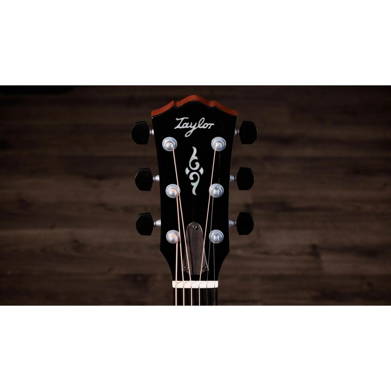Đàn Guitar Acoustic Taylor Gold Label K14e-Mai Nguyên Music