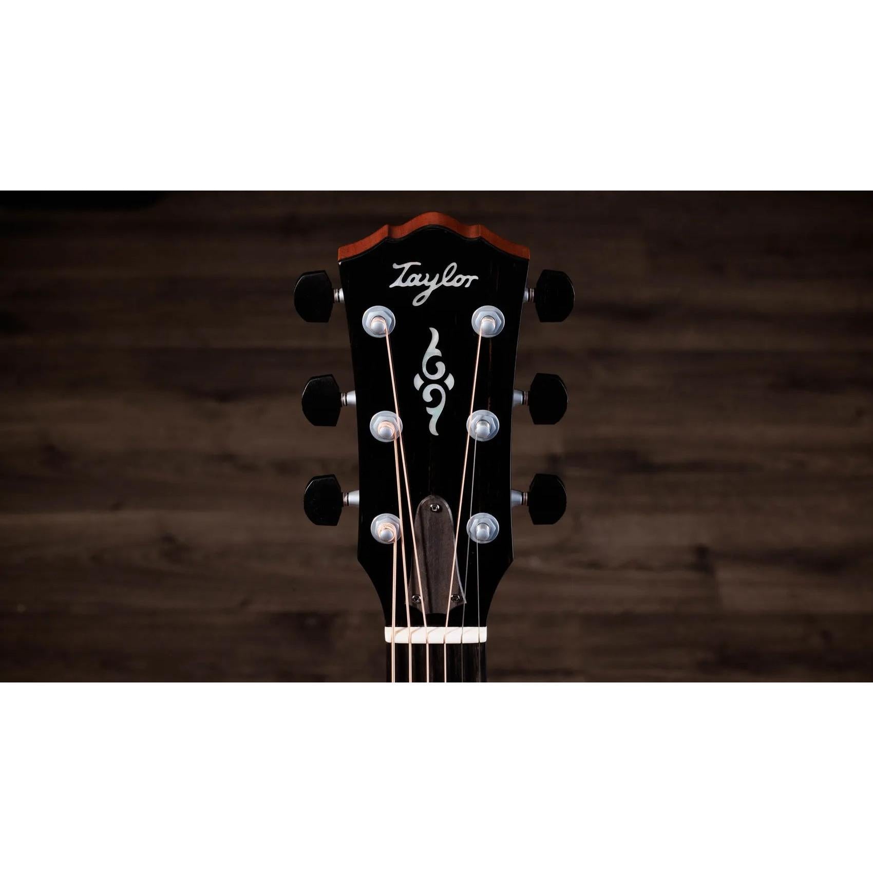 Đàn Guitar Acoustic Taylor Gold Label K14e-Mai Nguyên Music