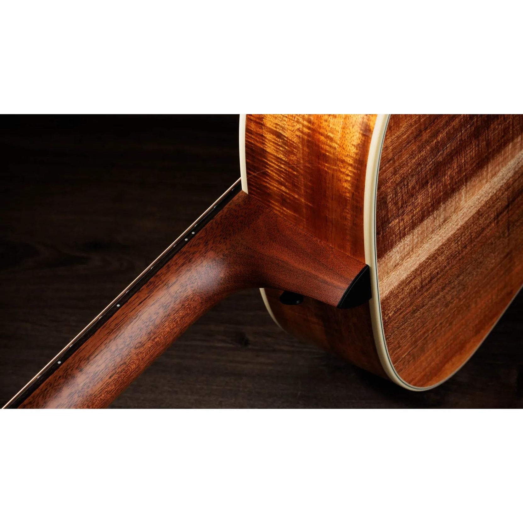Đàn Guitar Acoustic Taylor Gold Label K14e-Mai Nguyên Music