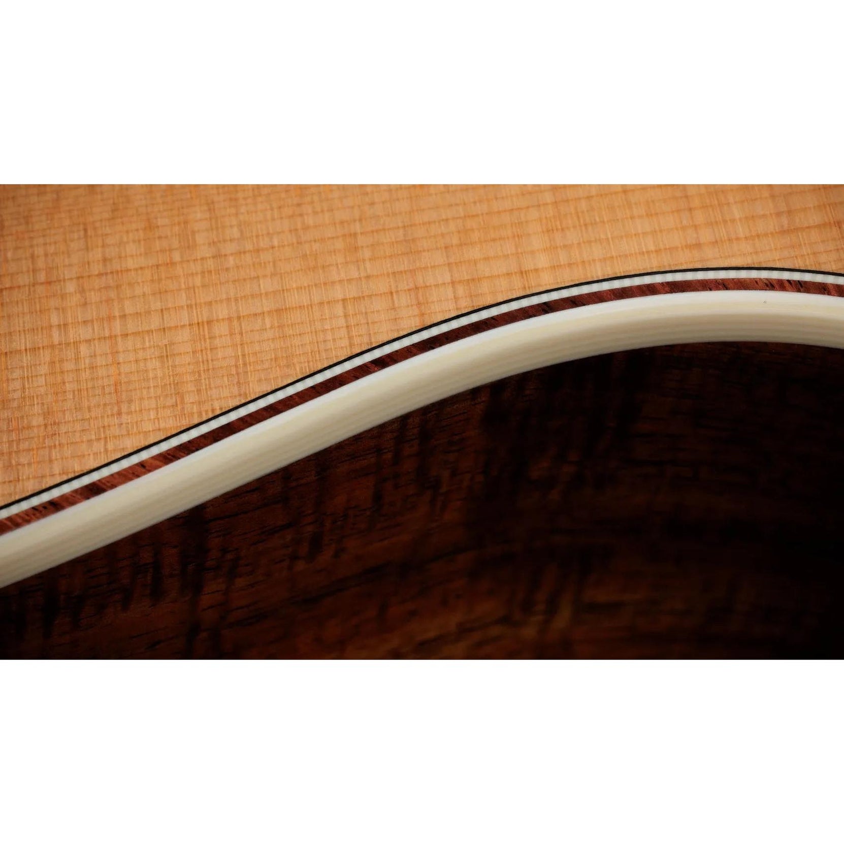 Đàn Guitar Acoustic Taylor Gold Label K14e-Mai Nguyên Music