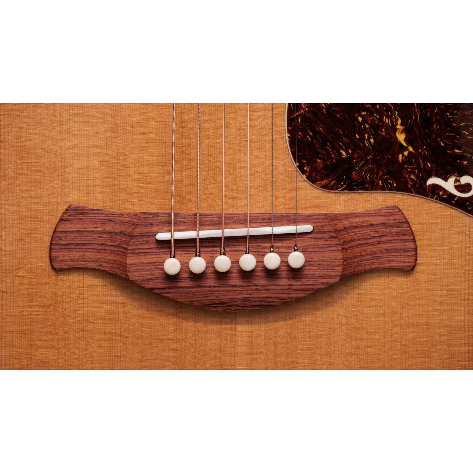 Đàn Guitar Acoustic Taylor Gold Label K14e-Mai Nguyên Music